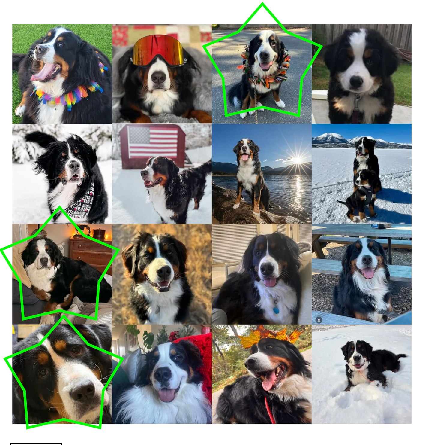 Fundraiser: Jan/Feb ‘26 Treat Bag Stars