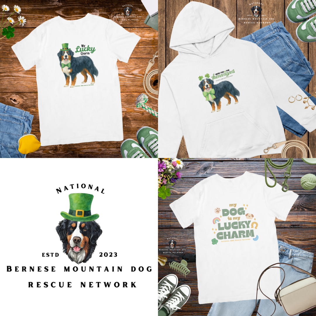 Fundraiser: St. Patrick’s Day Apparel