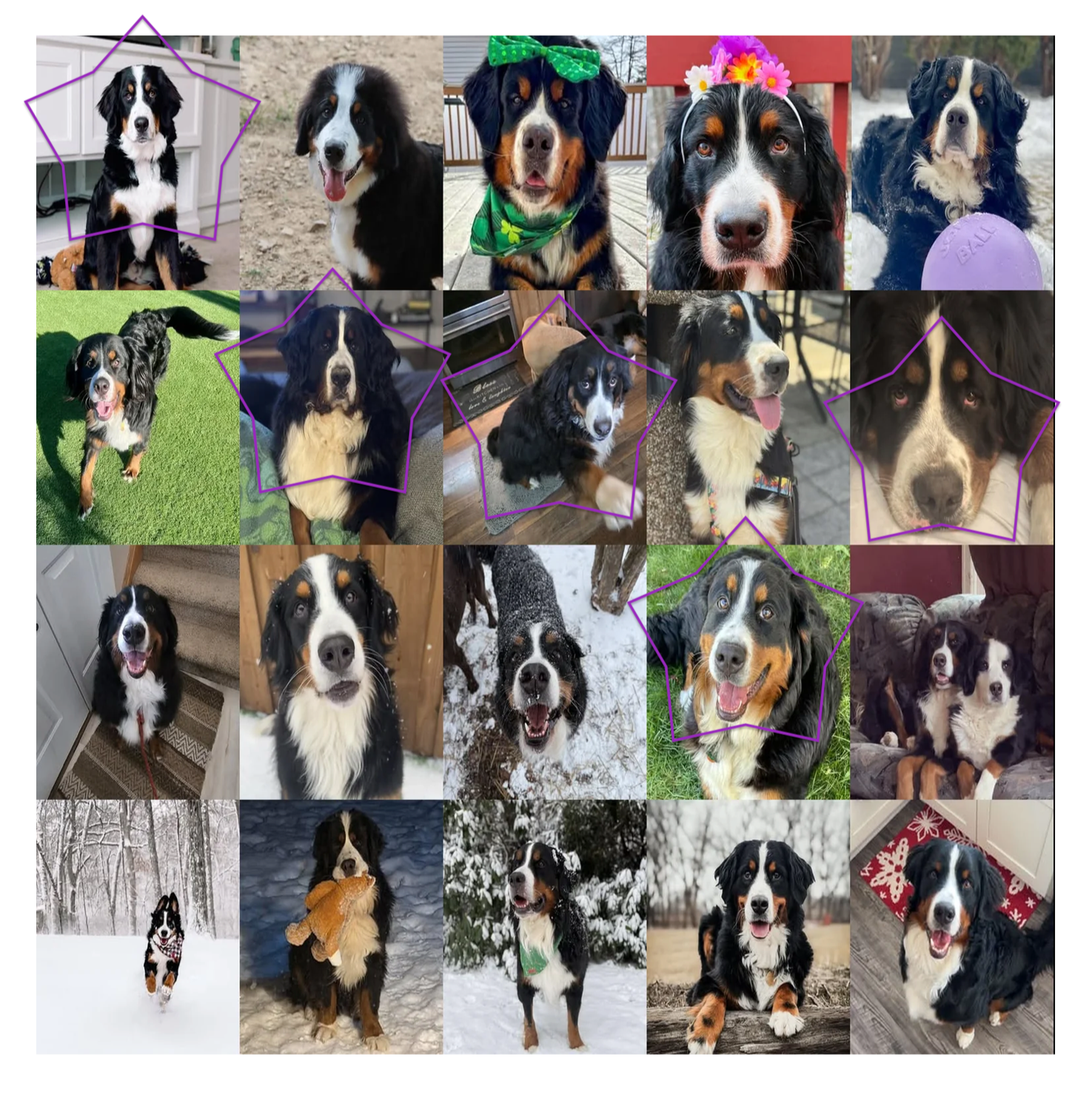 Fundraiser: March ‘26 Treat Bag Stars