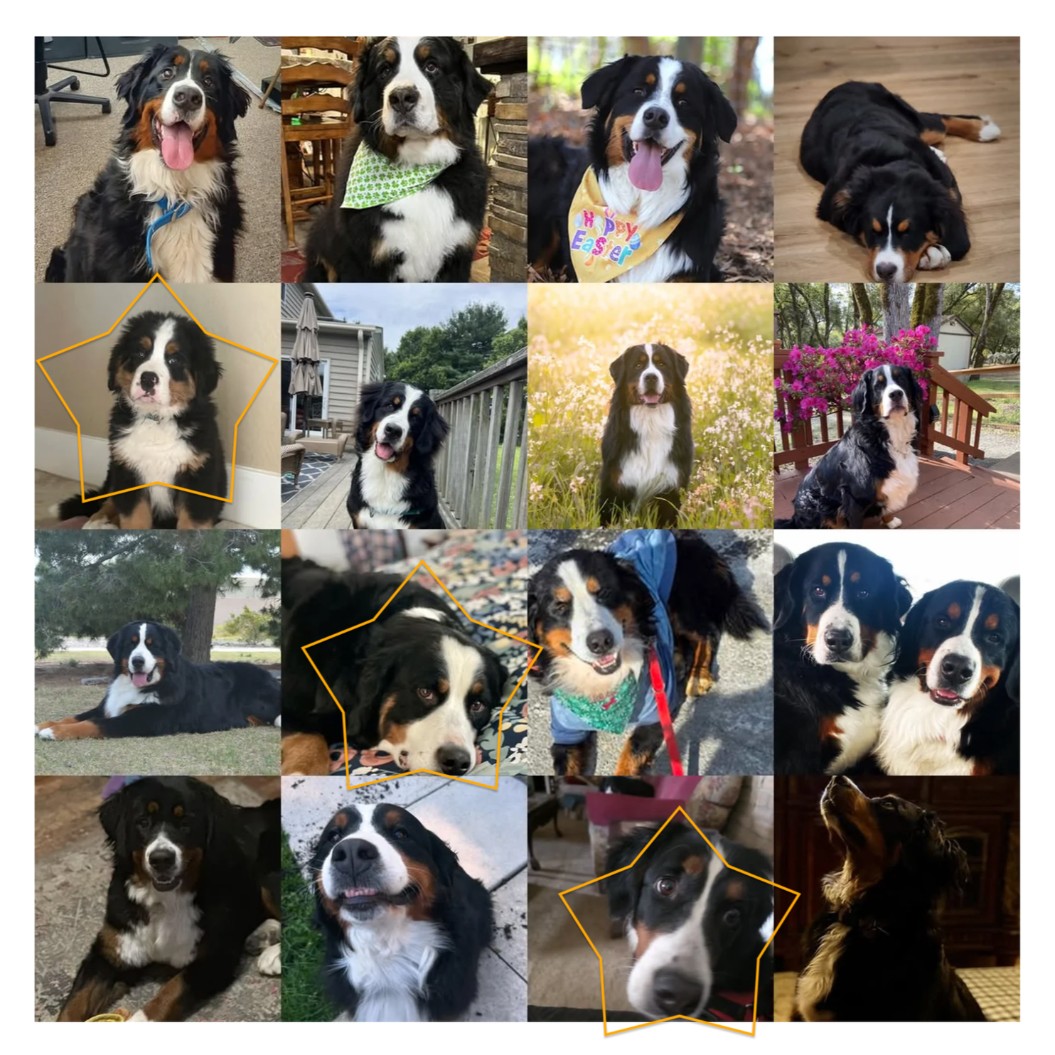 Fundraiser: April ‘26 Treat Bag Stars