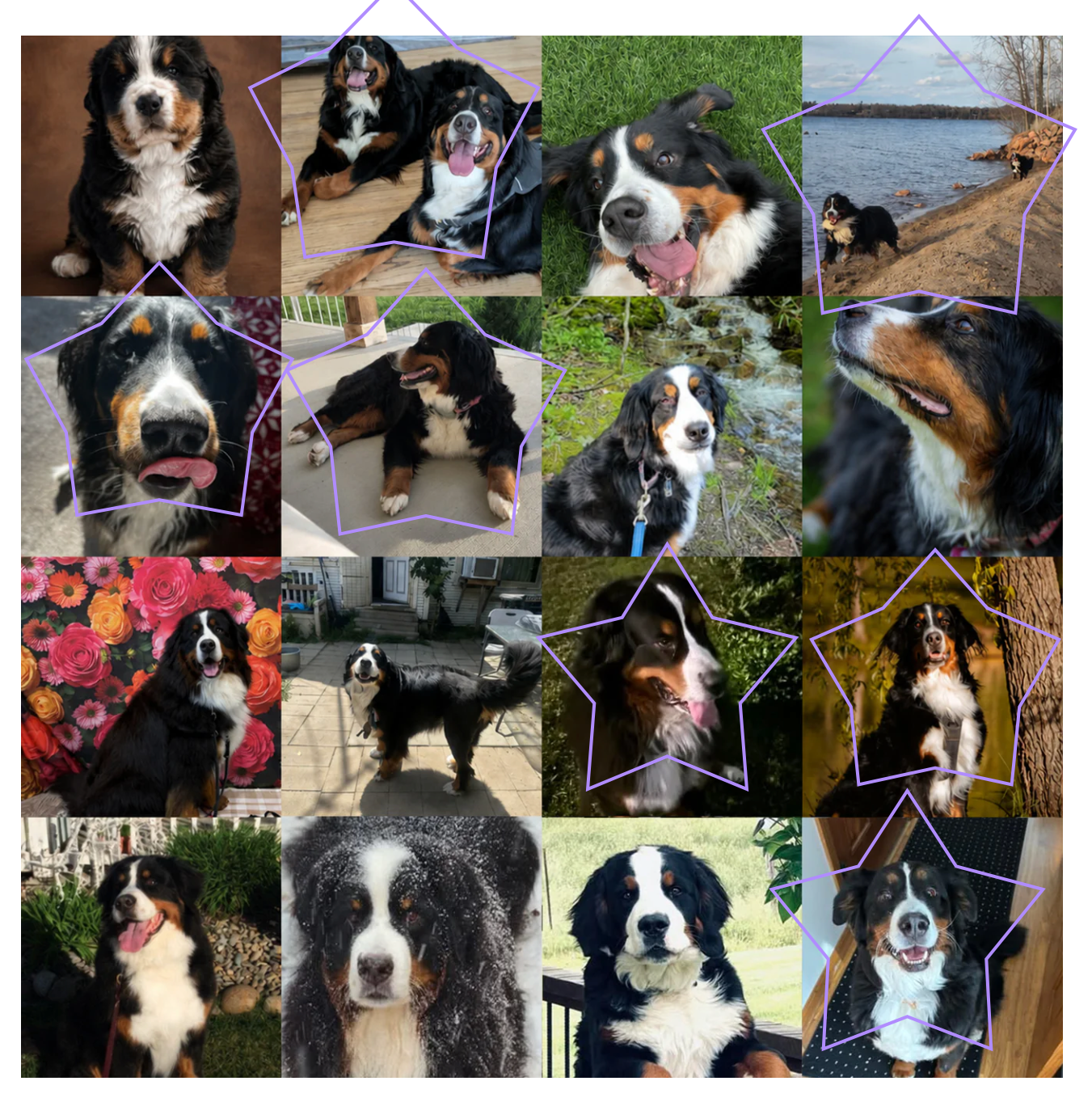 Fundraiser: May ‘26 Treat Bag Stars
