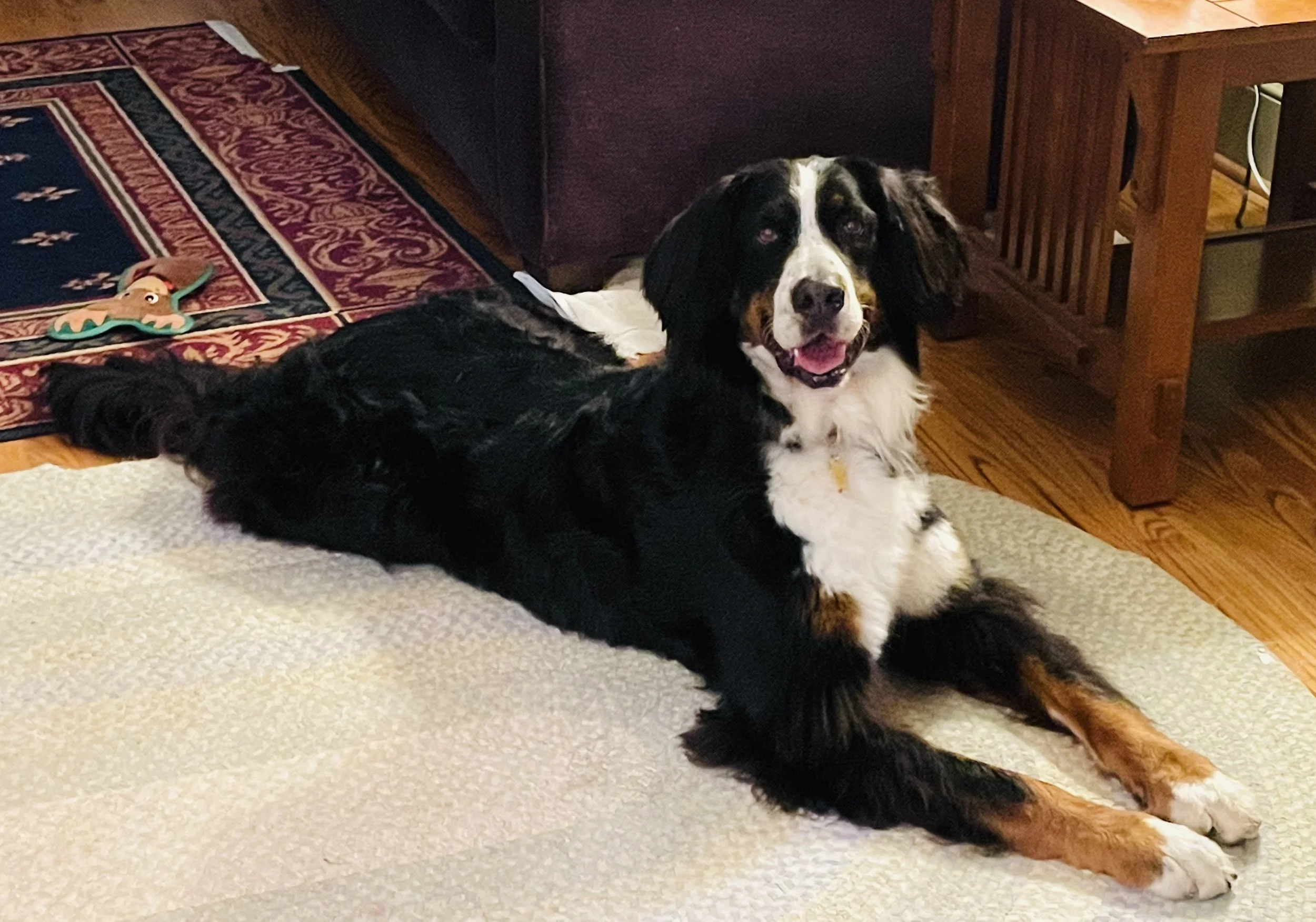 Adopt: Tifa
