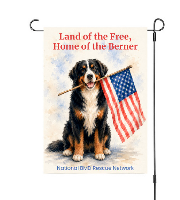 Berner Summer Love 