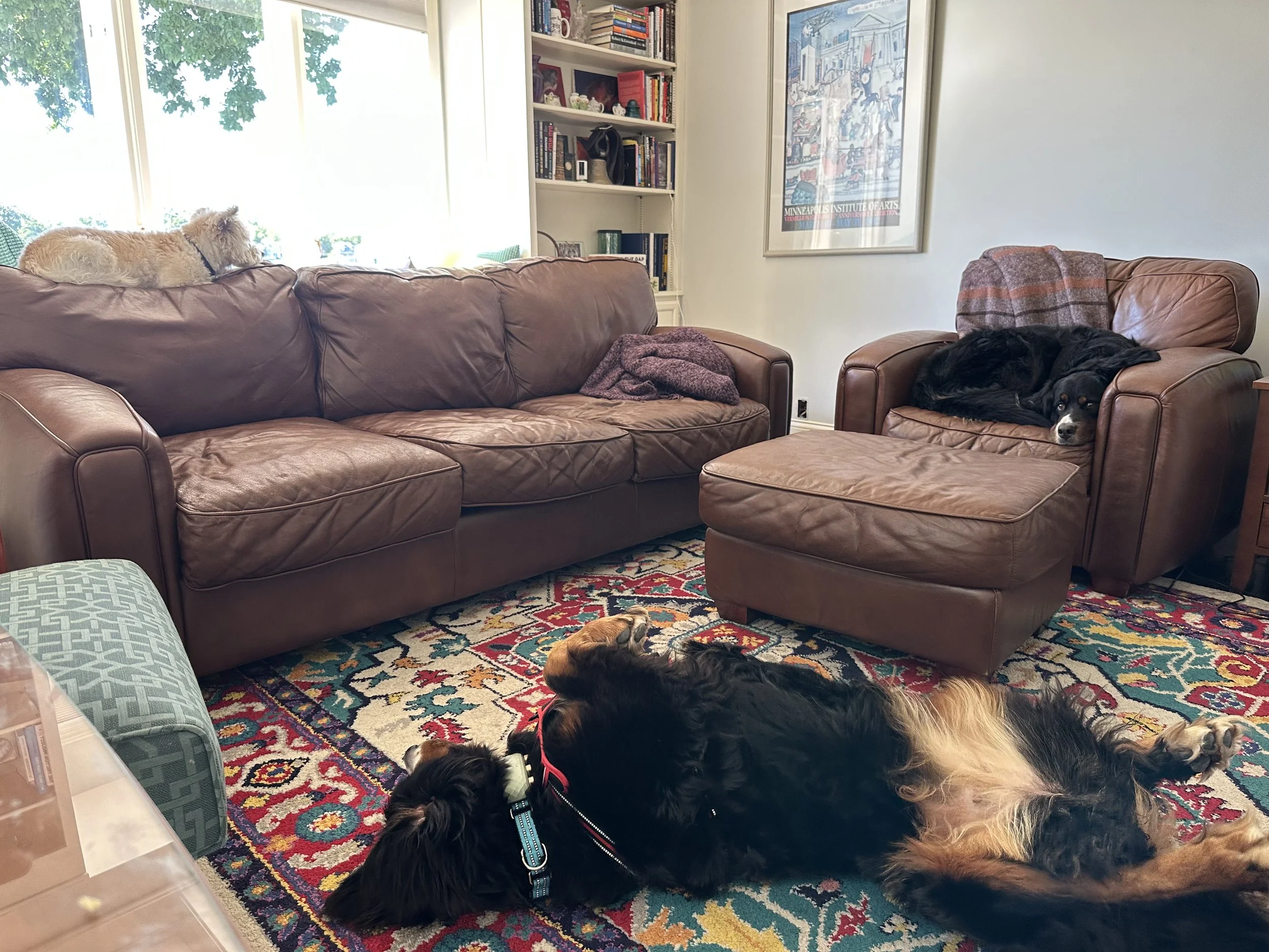 So relaxed.jpeg