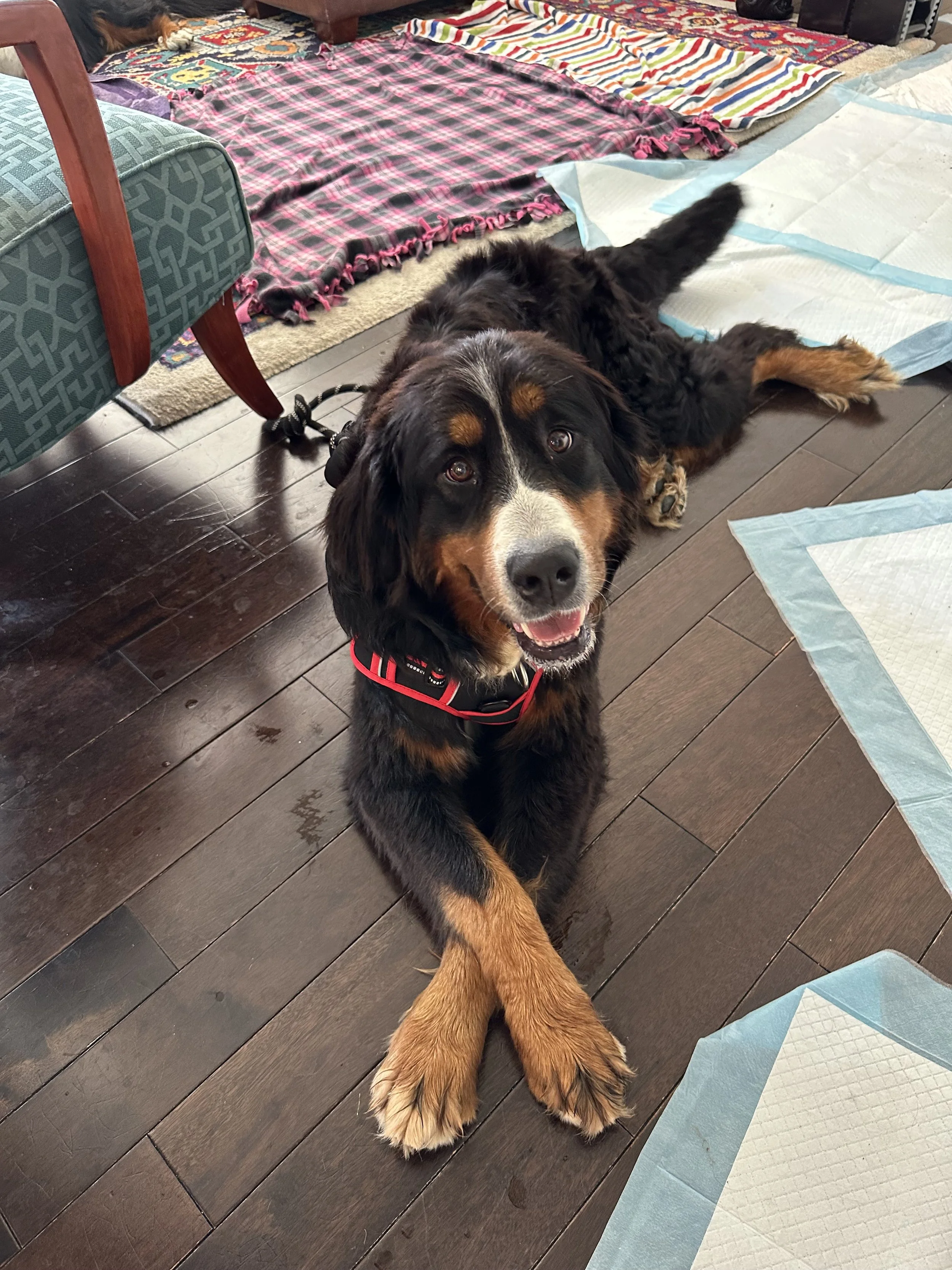 Chela Berner pose.jpeg