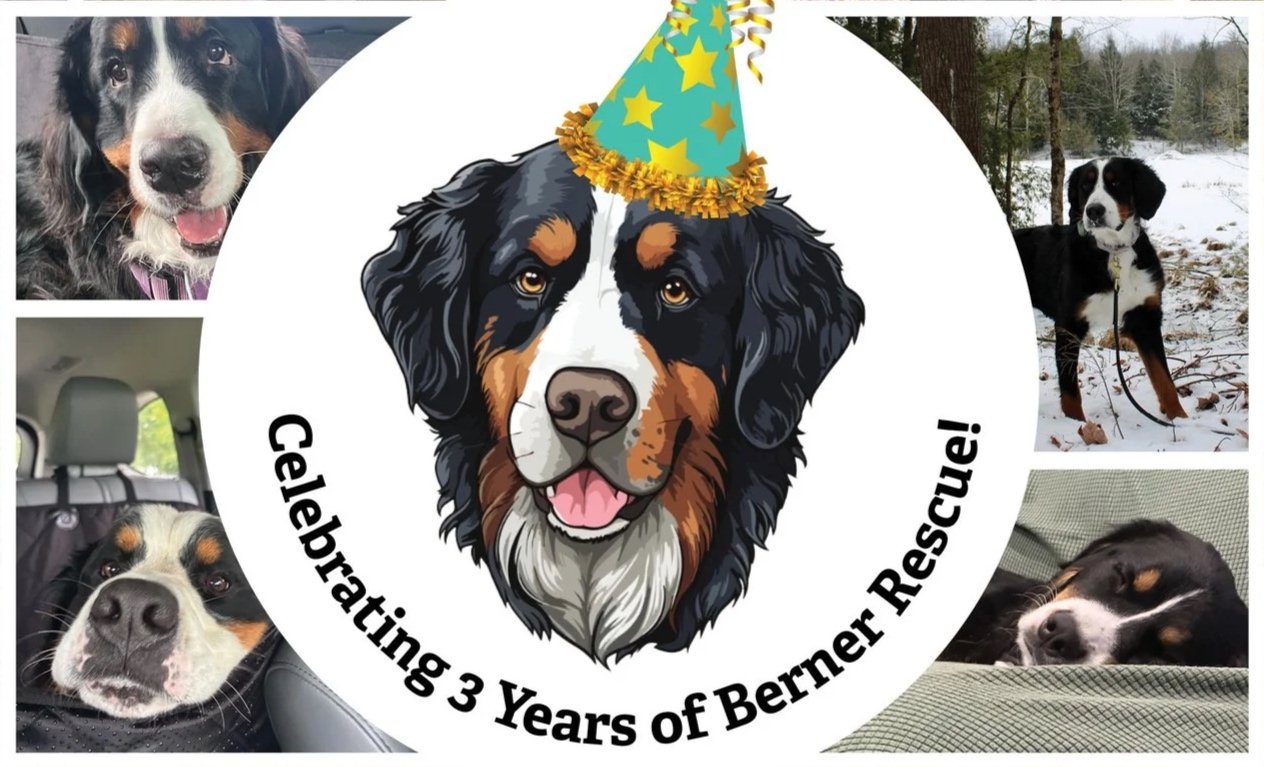 Our 3 Year Anniversary
