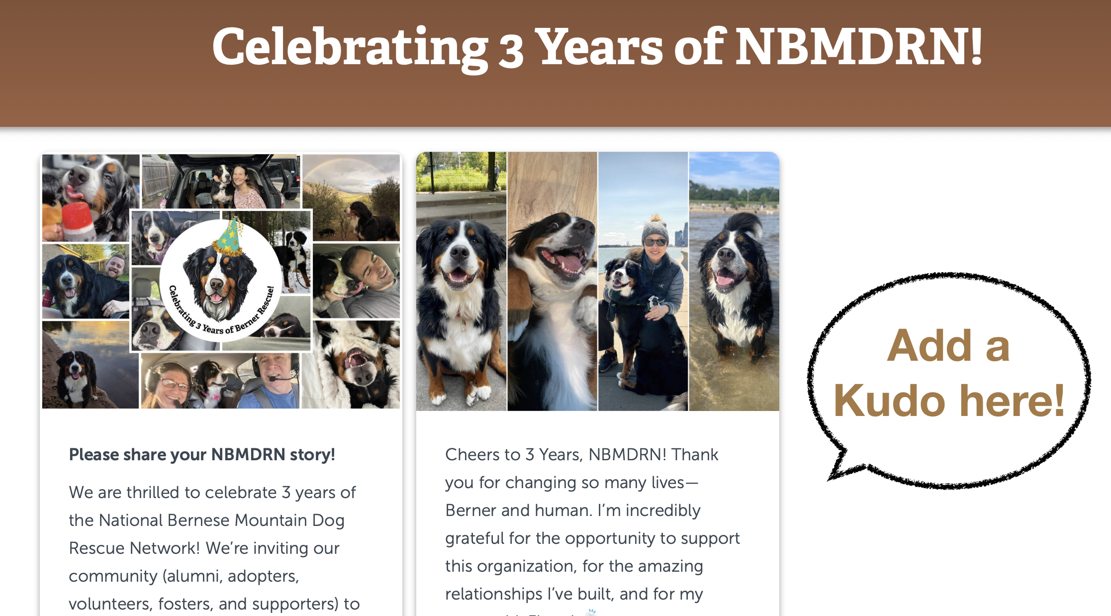 Screenshot of Kudo board for dog rescue with photos and comments