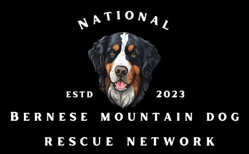 National Bernese Mountain Dog Rescue Network