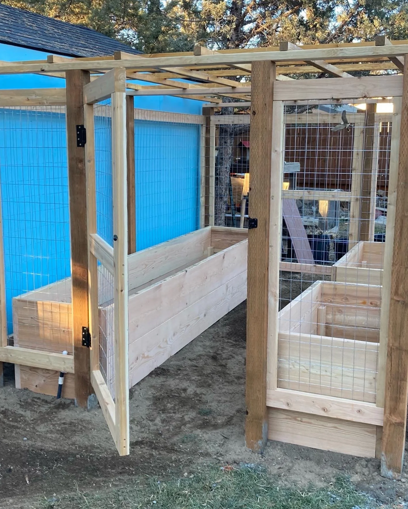 Enclosed pest-proof raised bed