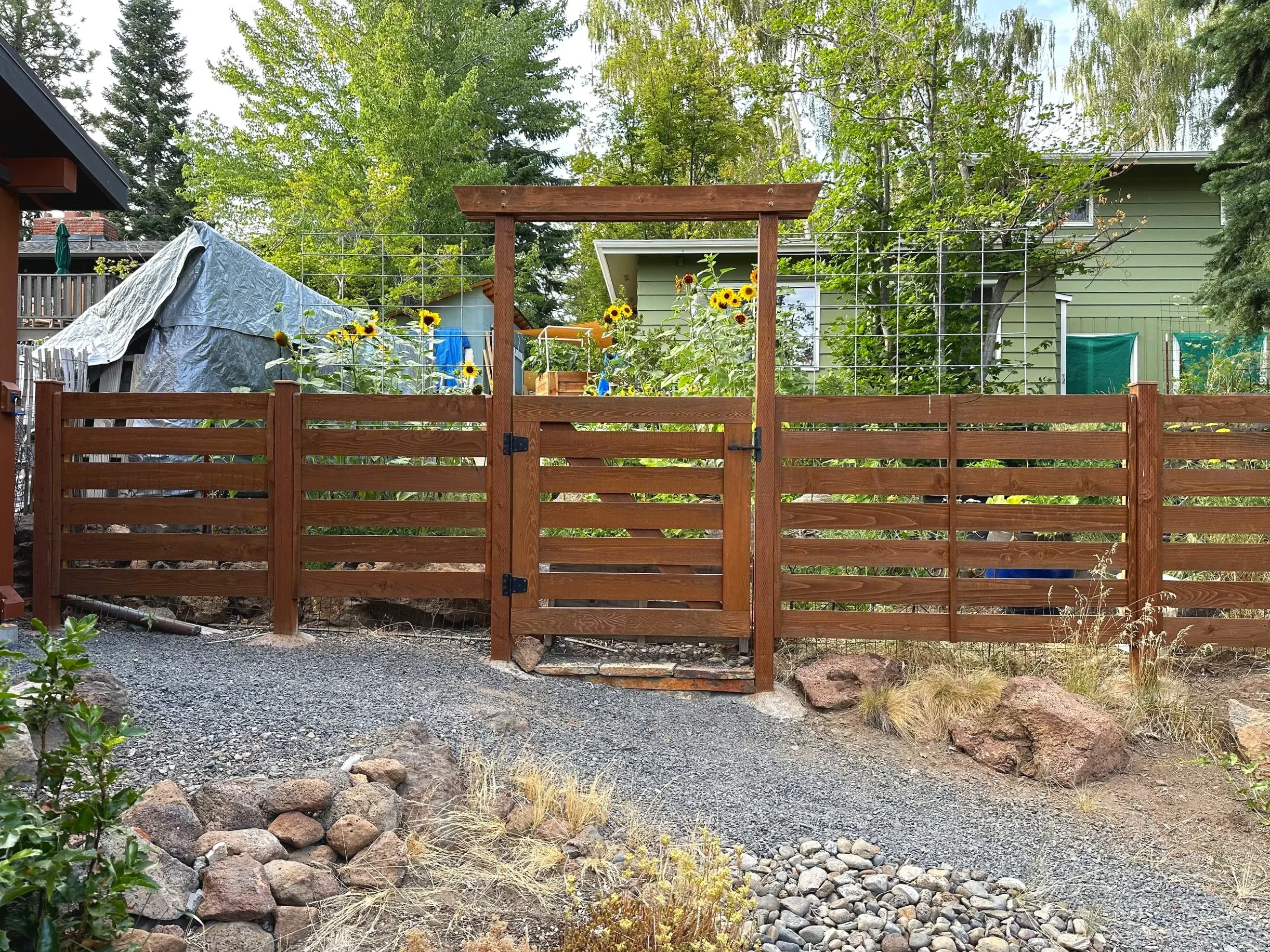 Wooden garden fence with a gate, surrounded by sunflowers and greenery, with a house and trees in the background.