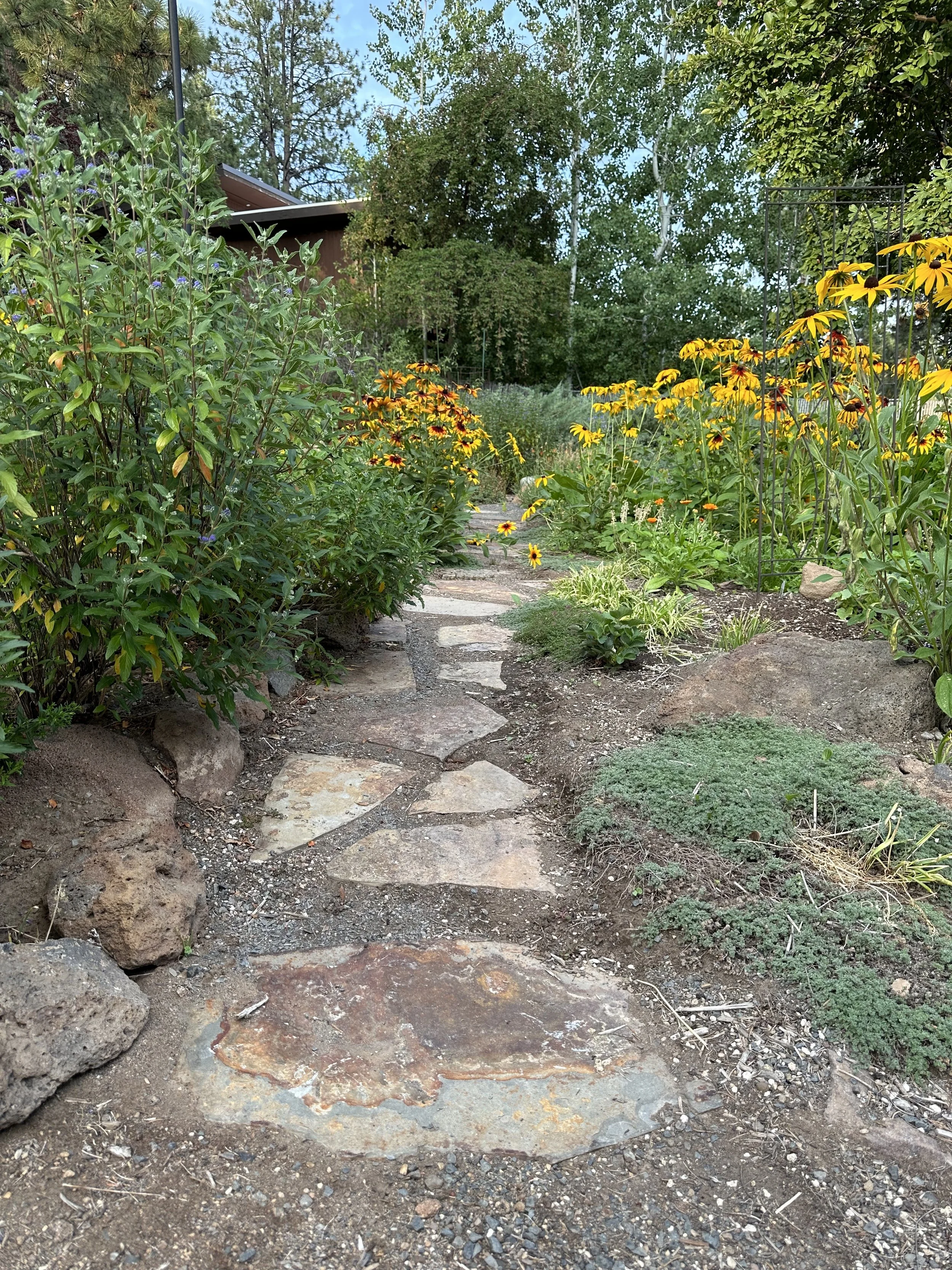 A garden path made of irregularly shaped flat stones winding through a lush garden with flowering plants and green foliage.