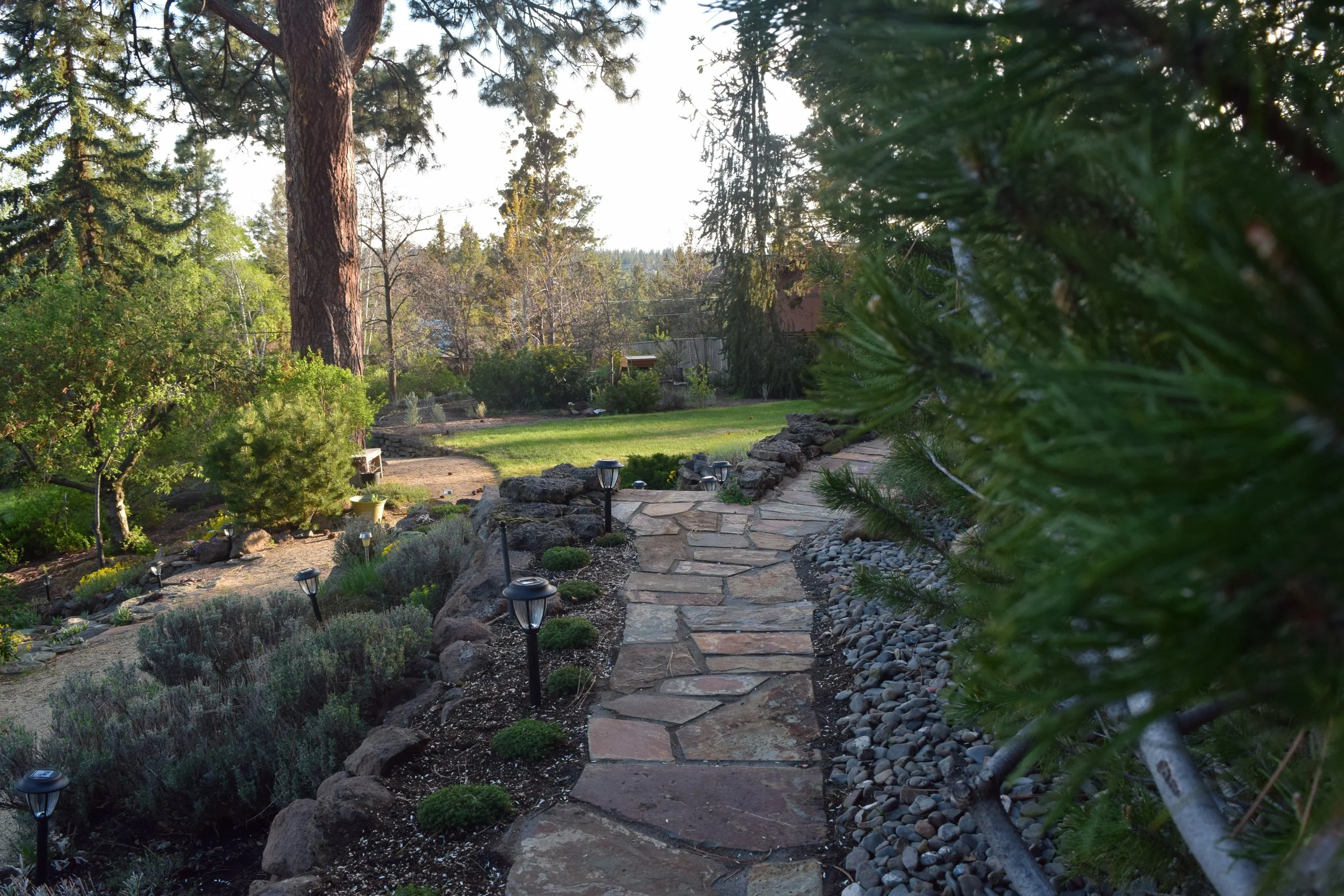 A stone pathway winding through a landscaped backyard garden with lush greenery, shrubs, and trees, illuminated by small outdoor lights.
