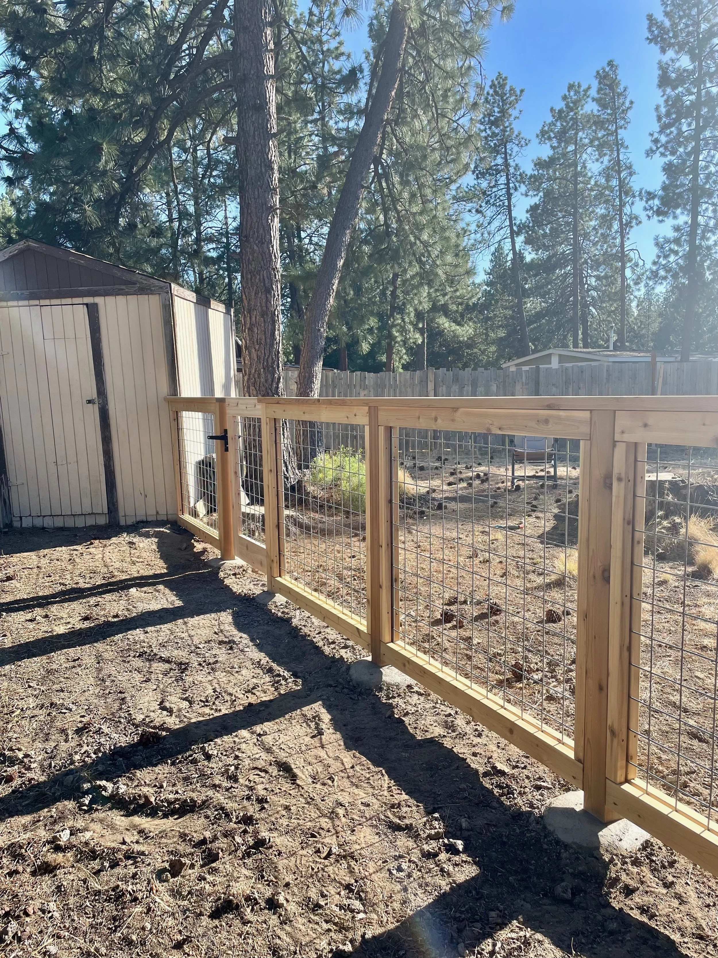 Wooden fence with metal wire mesh section in a backyard, next to a storage shed, with trees and a clear blue sky in the background.