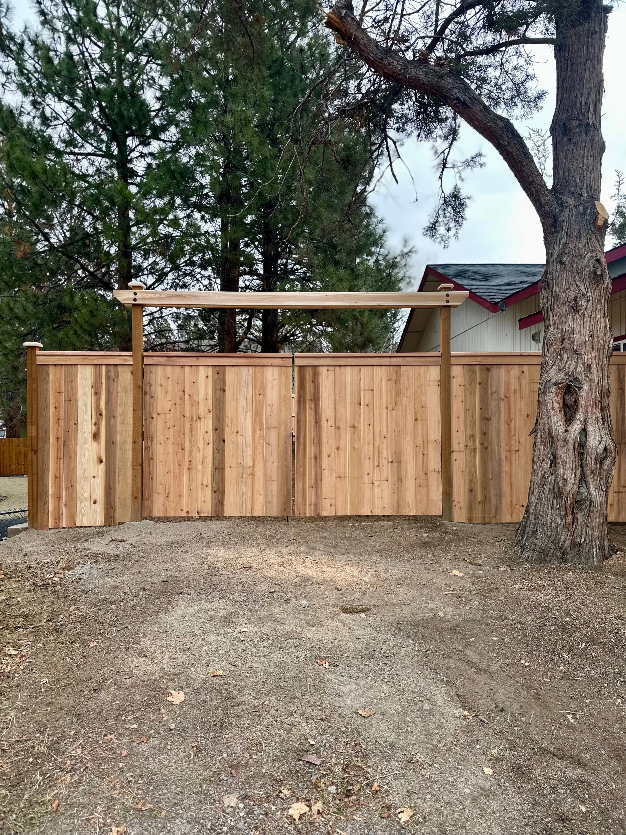 A wooden fence with a gate under construction, next to a large tree with textured bark and branches, and a house with a sloped roof in the background, in an outdoor yard.