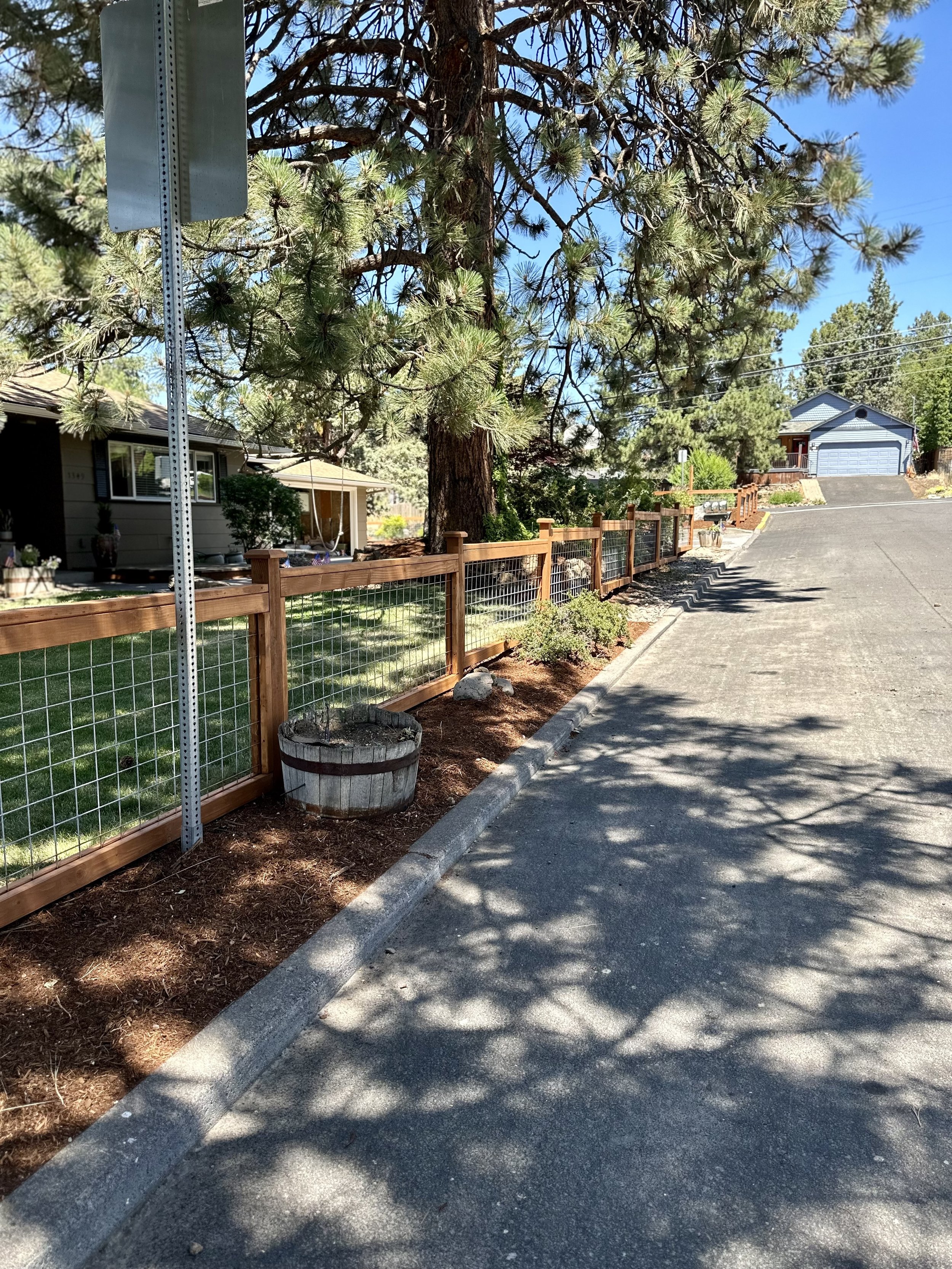 Residential street with a sidewalk, wooden fence, large pine tree, and houses in the background.