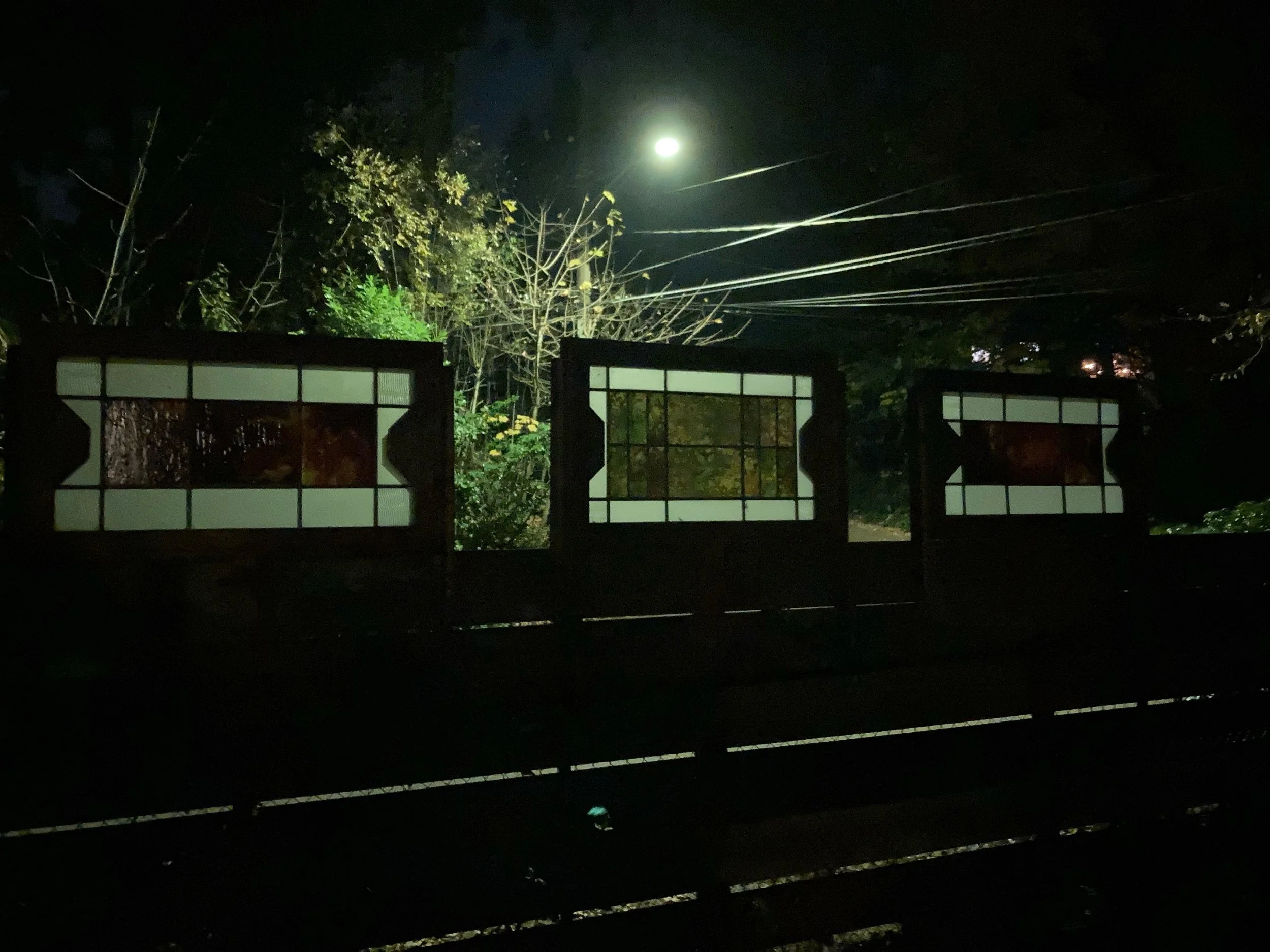 Nighttime scene featuring a gate with decorative glass panels, trees, and power lines illuminated by the moon.