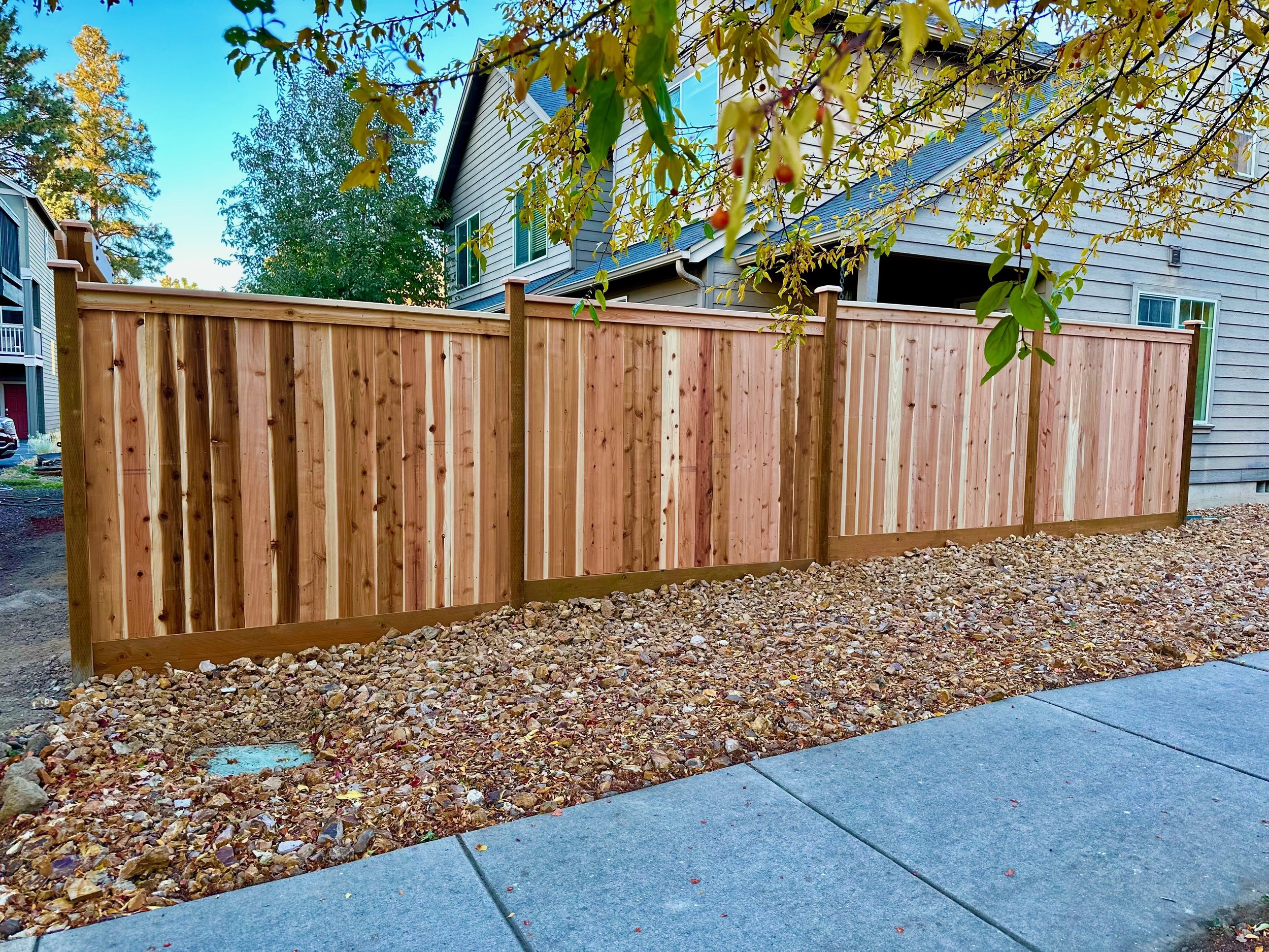 A new wooden privacy fence installed in a residential backyard, bordered by a concrete sidewalk and topped with a tree with green and yellow leaves.