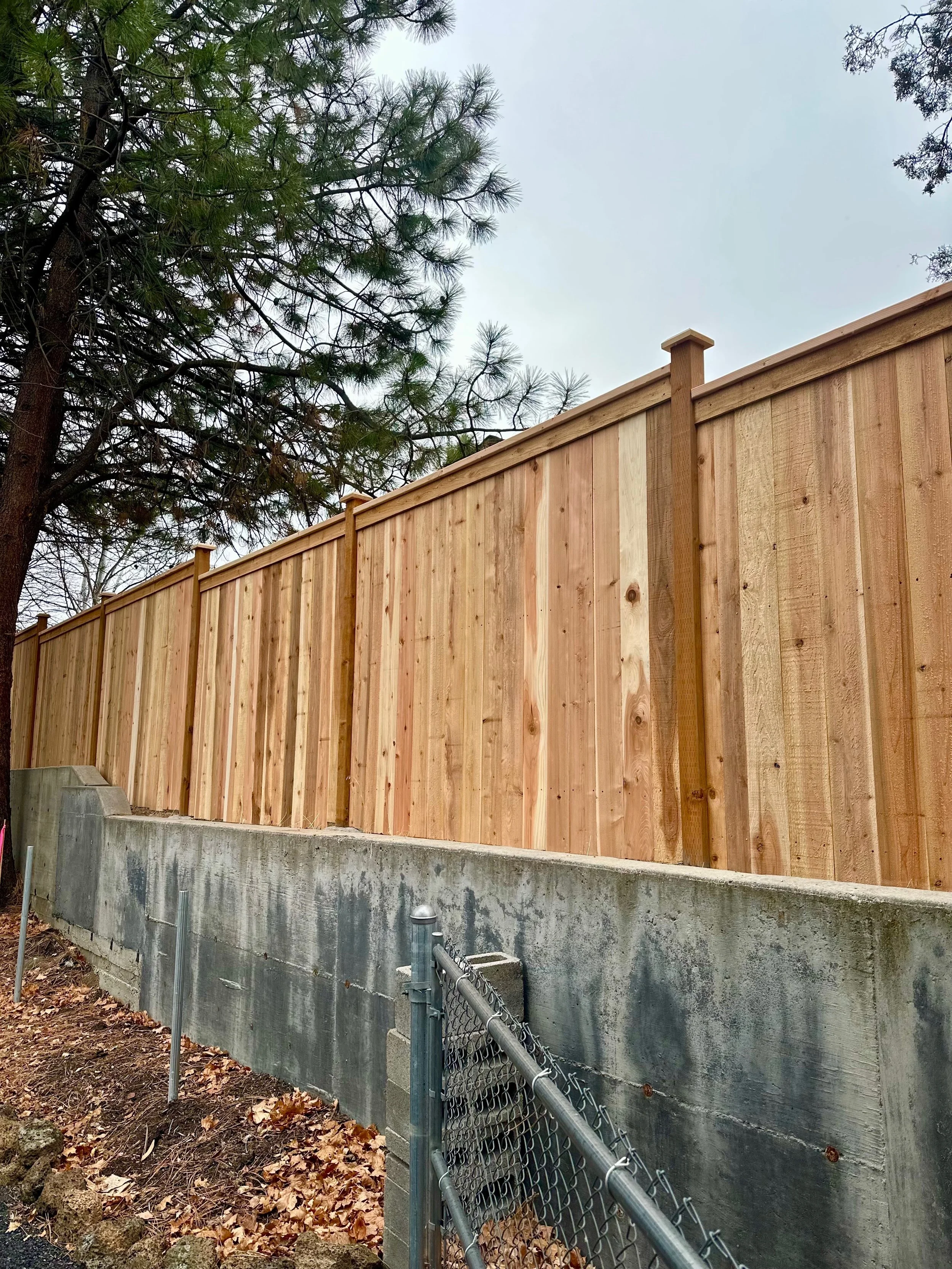 A newly installed wooden privacy fence with vertical planks atop a concrete foundation, next to a chain-link gate and a pine tree, under a cloudy sky.