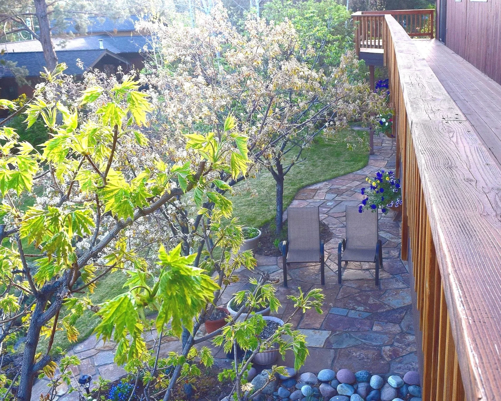 View of a backyard garden with trees, potted plants, a stone patio, two chairs, and a wooden deck railing.