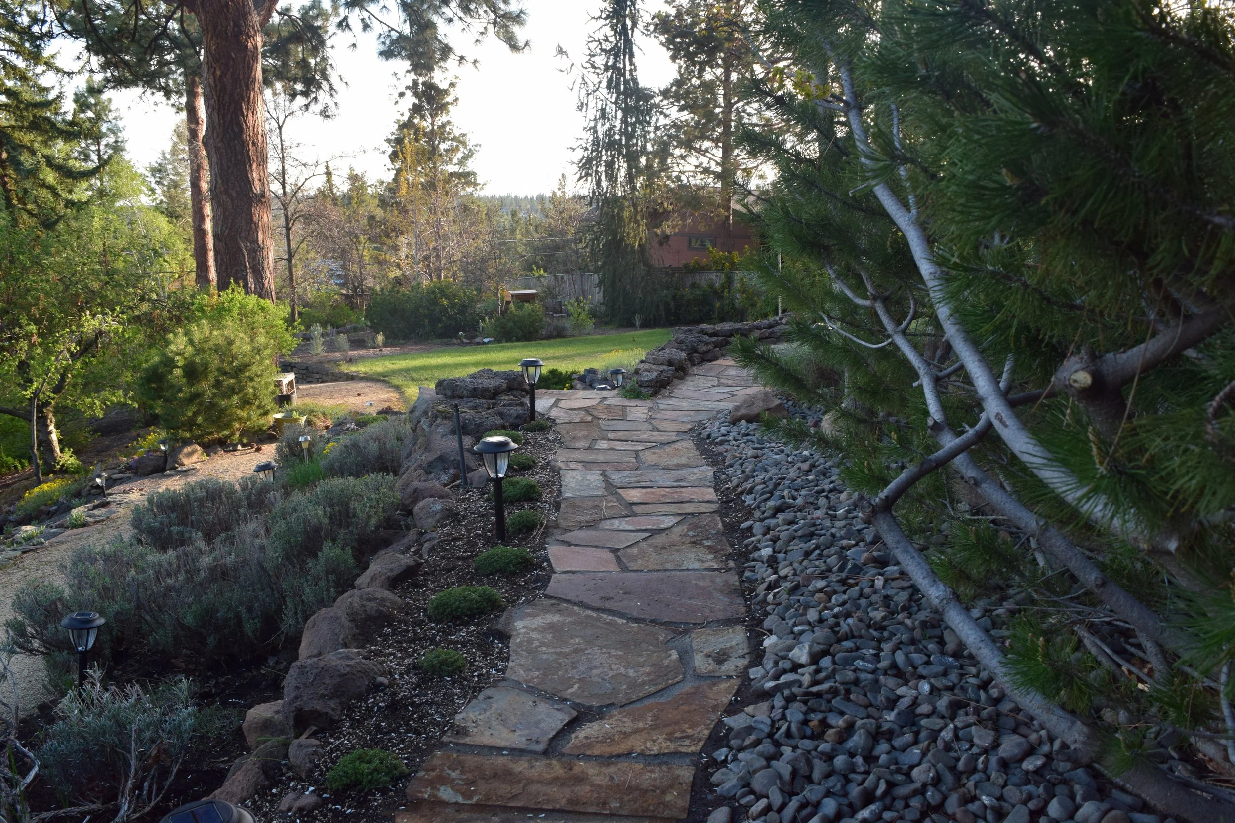 A garden pathway made of large flagstones with solar-powered landscape lights along the sides, bordered by rocks and greenery, extending into a lush backyard with trees and a purple house in the distance.