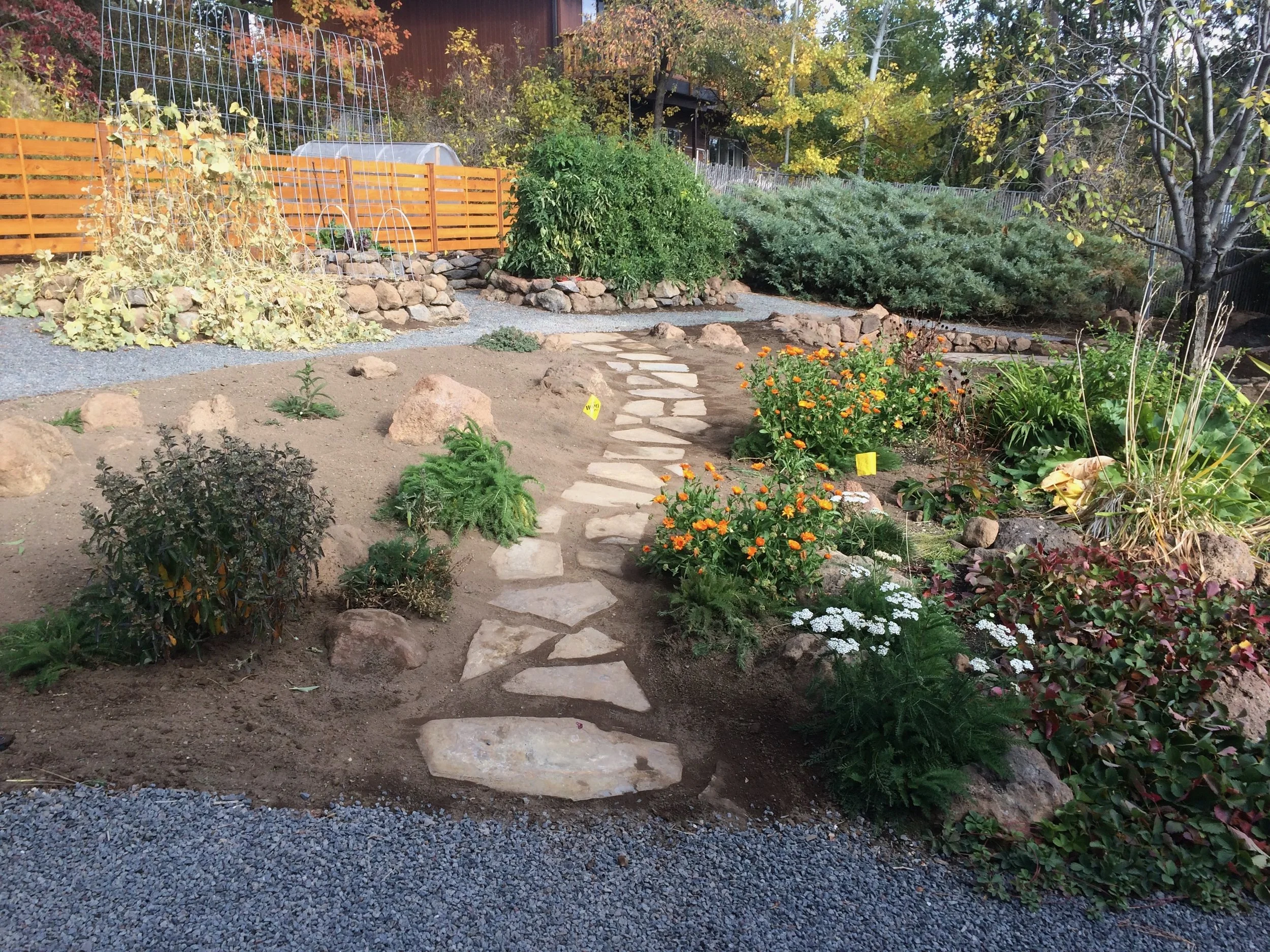 A landscaped garden with a stone pathway, various plants, flowers, and shrubs. There is a small fencing area with a greenhouse and fallen leaves on the plants in the background.