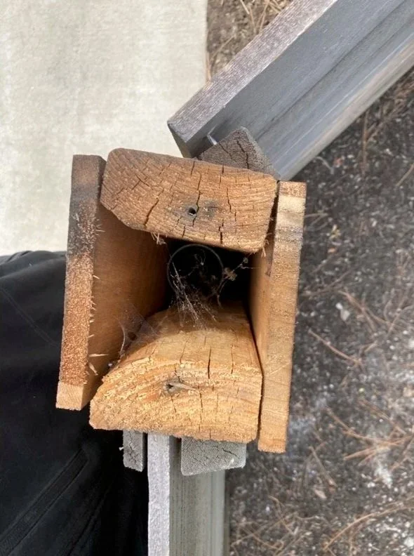 Close-up of a wooden post with a spider web inside, surrounded by concrete and other wooden beams.