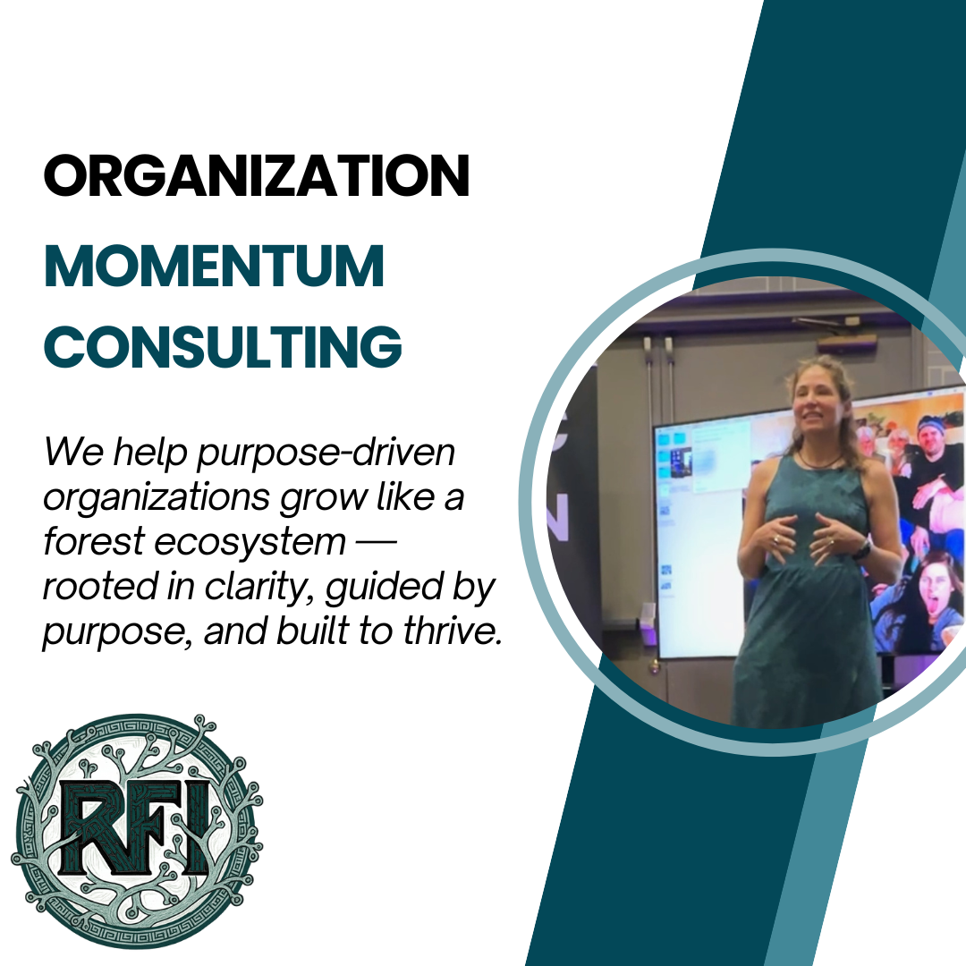 Organization focused Consulting