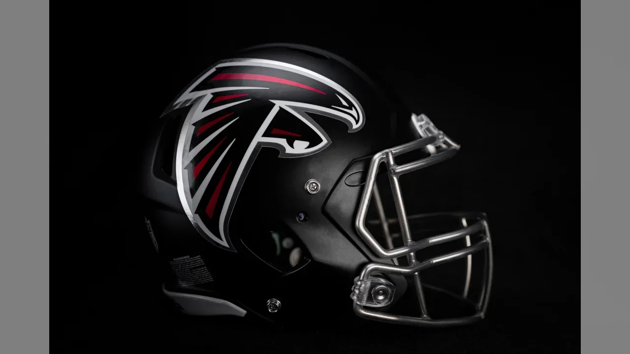 Falcons6.webp