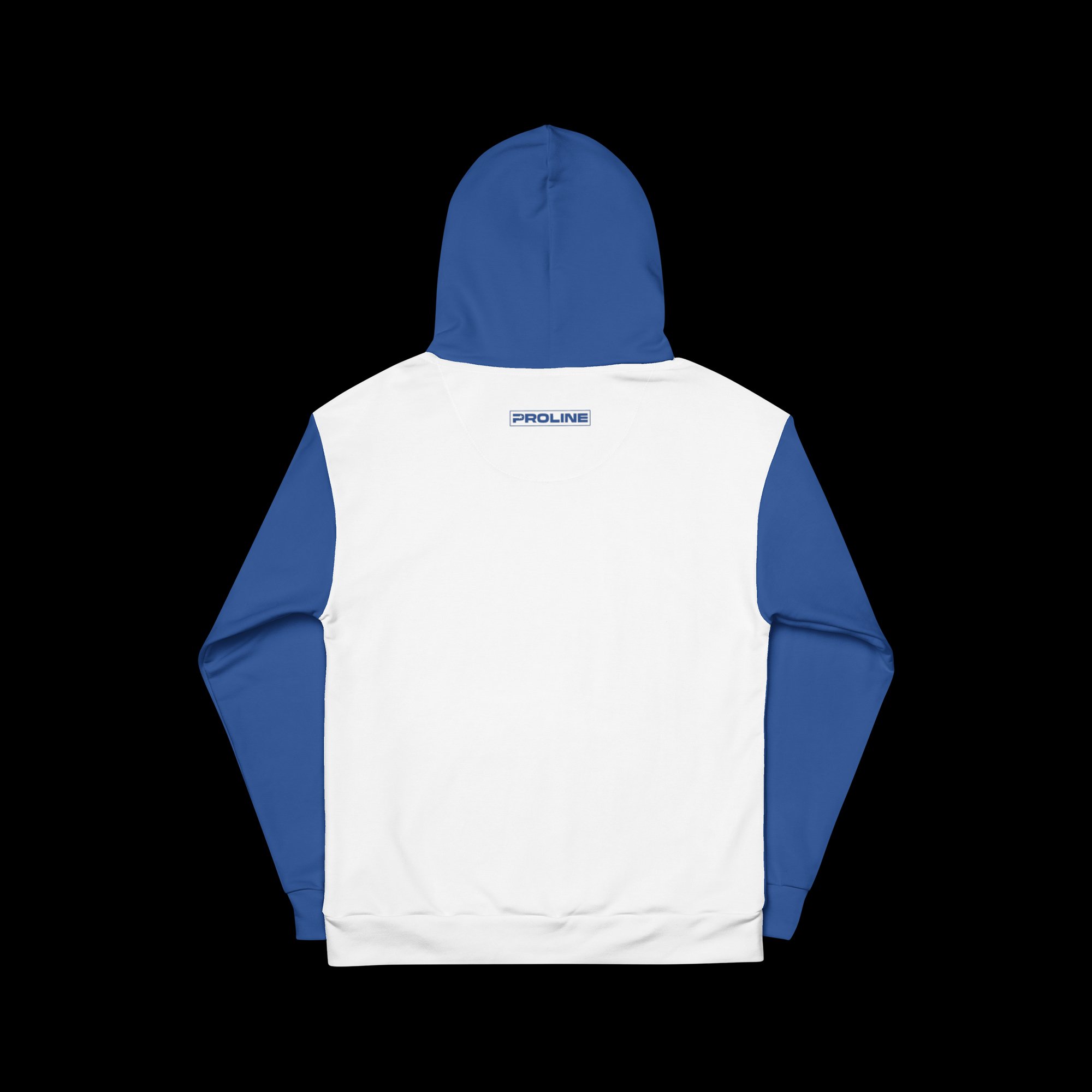 From Rohnert Park Artist Series - Gulls Dubs Hoodie