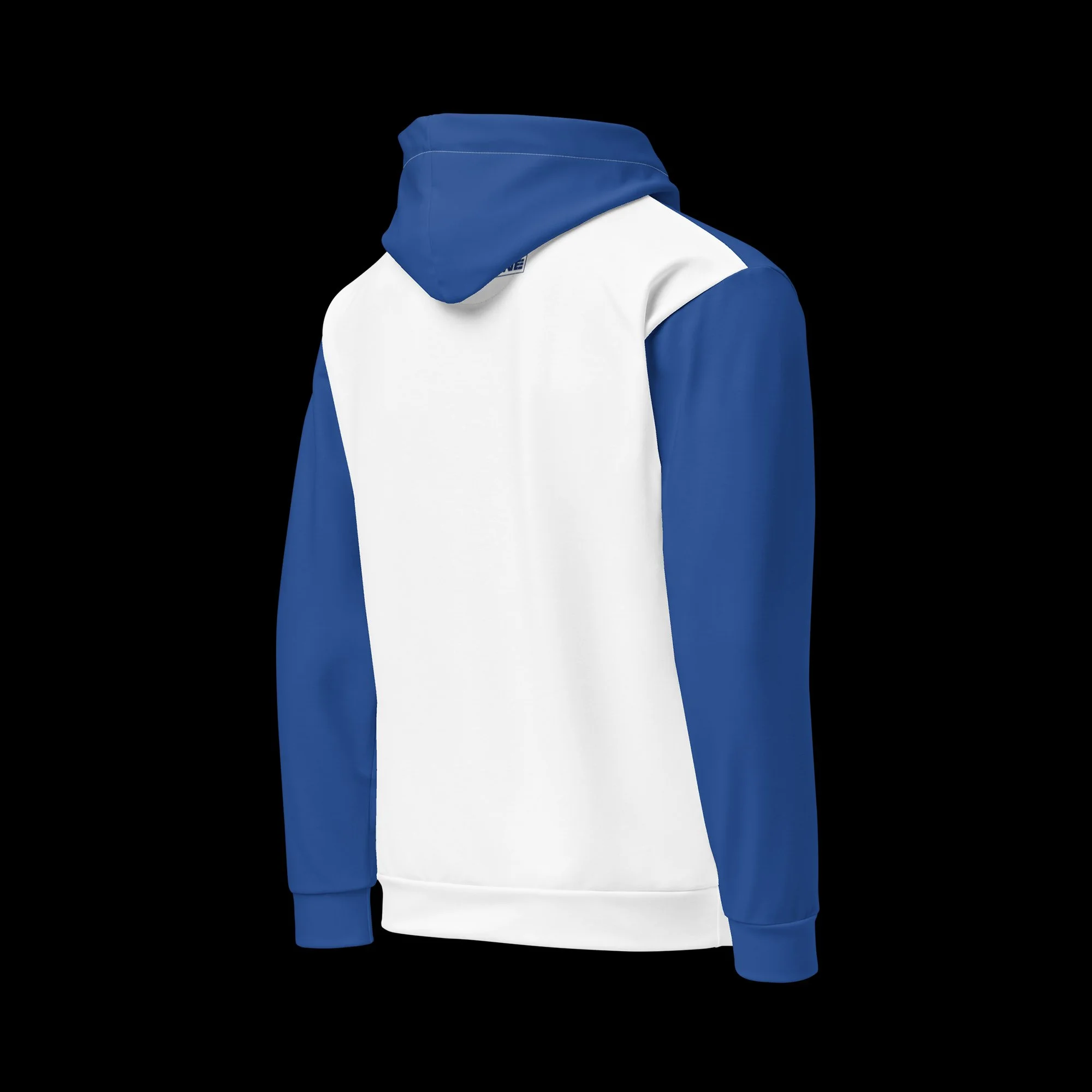 From Rohnert Park Artist Series - Gulls Dubs Hoodie