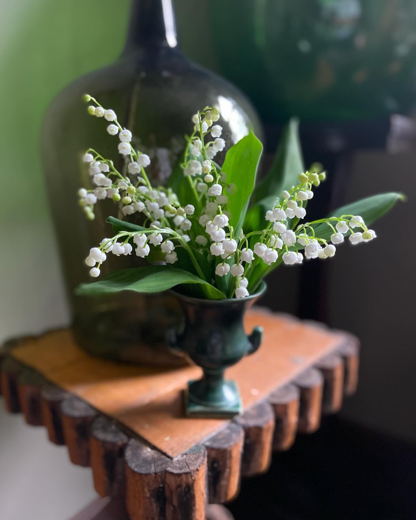 Lily of the Valley Day, a celebration steeped in rich history and delicate beauty.

Originating from ancient Roman mythology, where it symbolized the return of happiness, this enchanting bloom has captivated hearts for centuries.

Today, we honor its