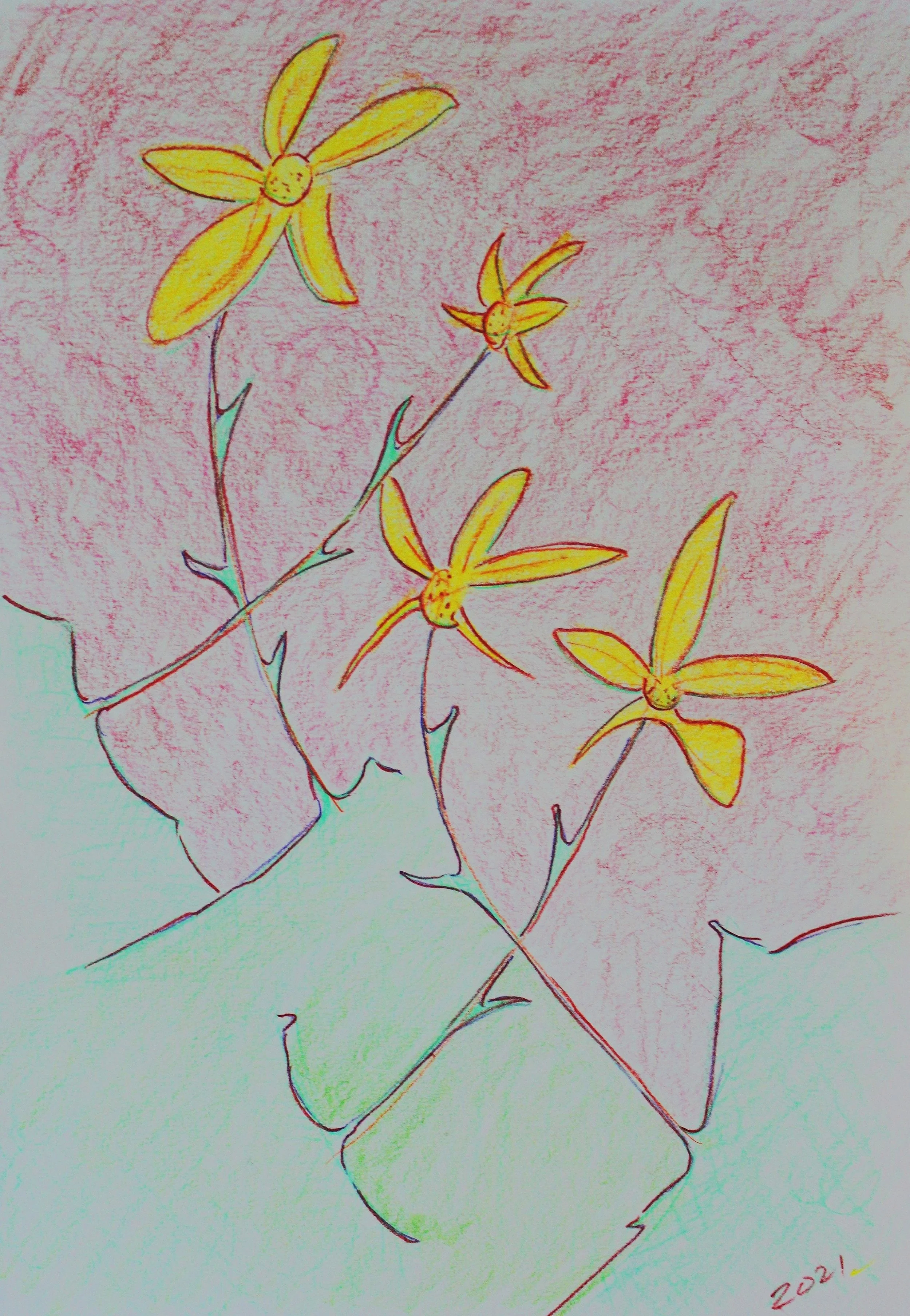 Daisy Time