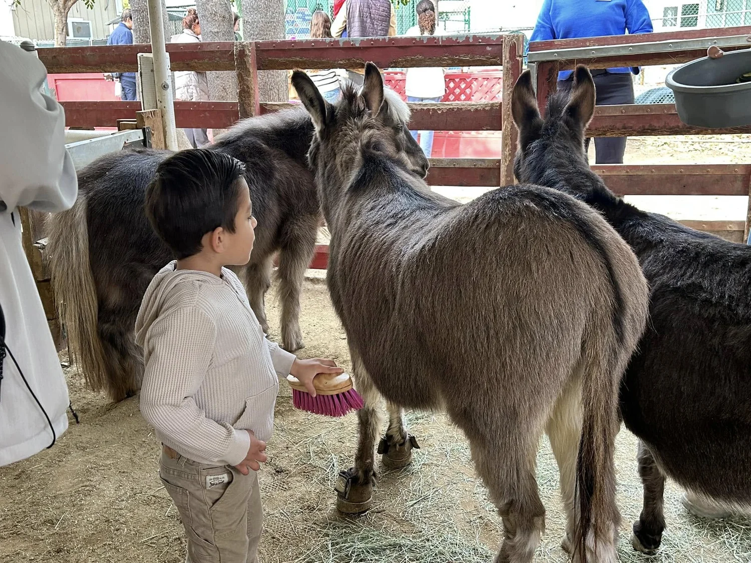 WHPS child learning with animals