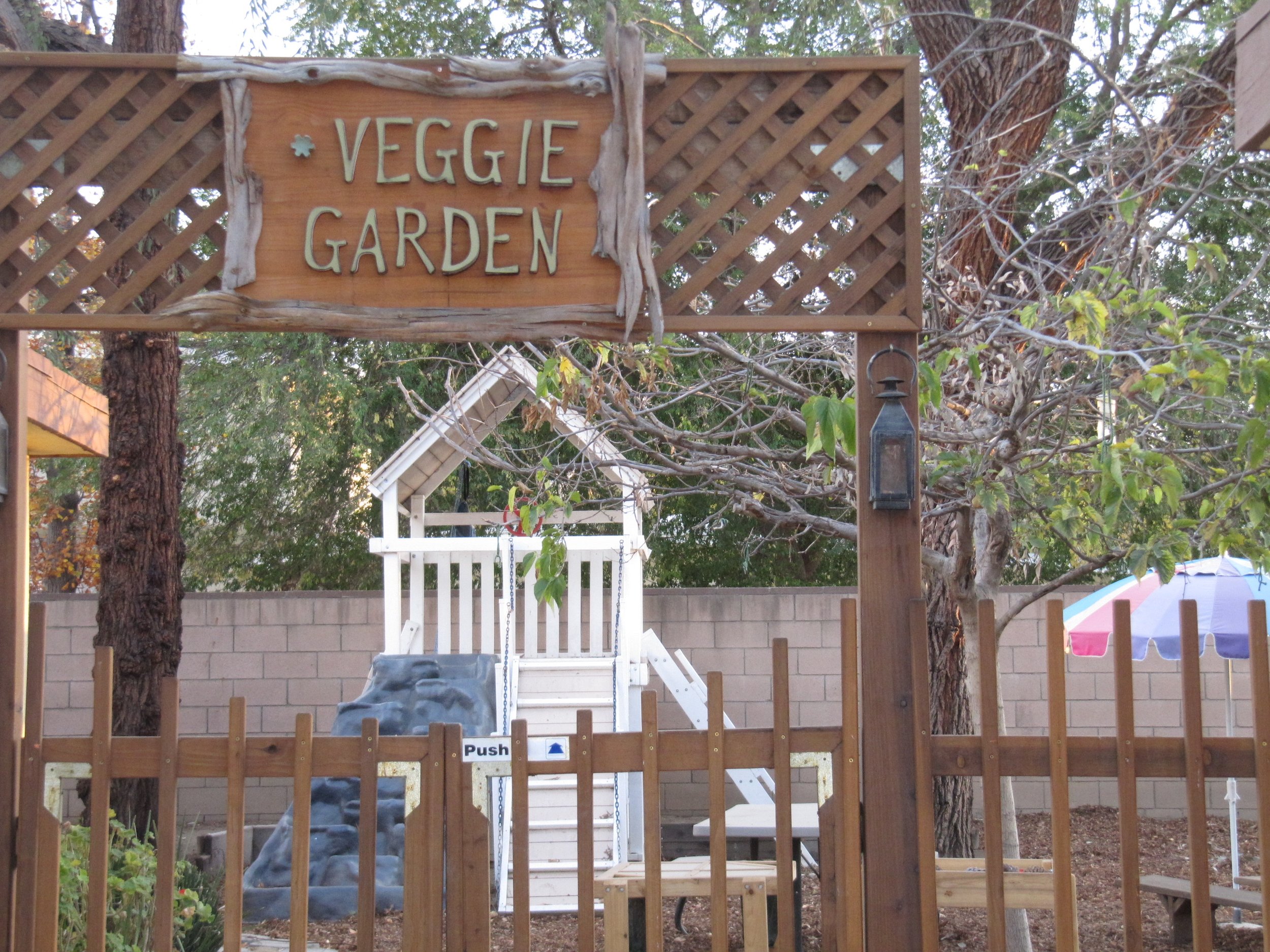 Veggie Garden.JPG