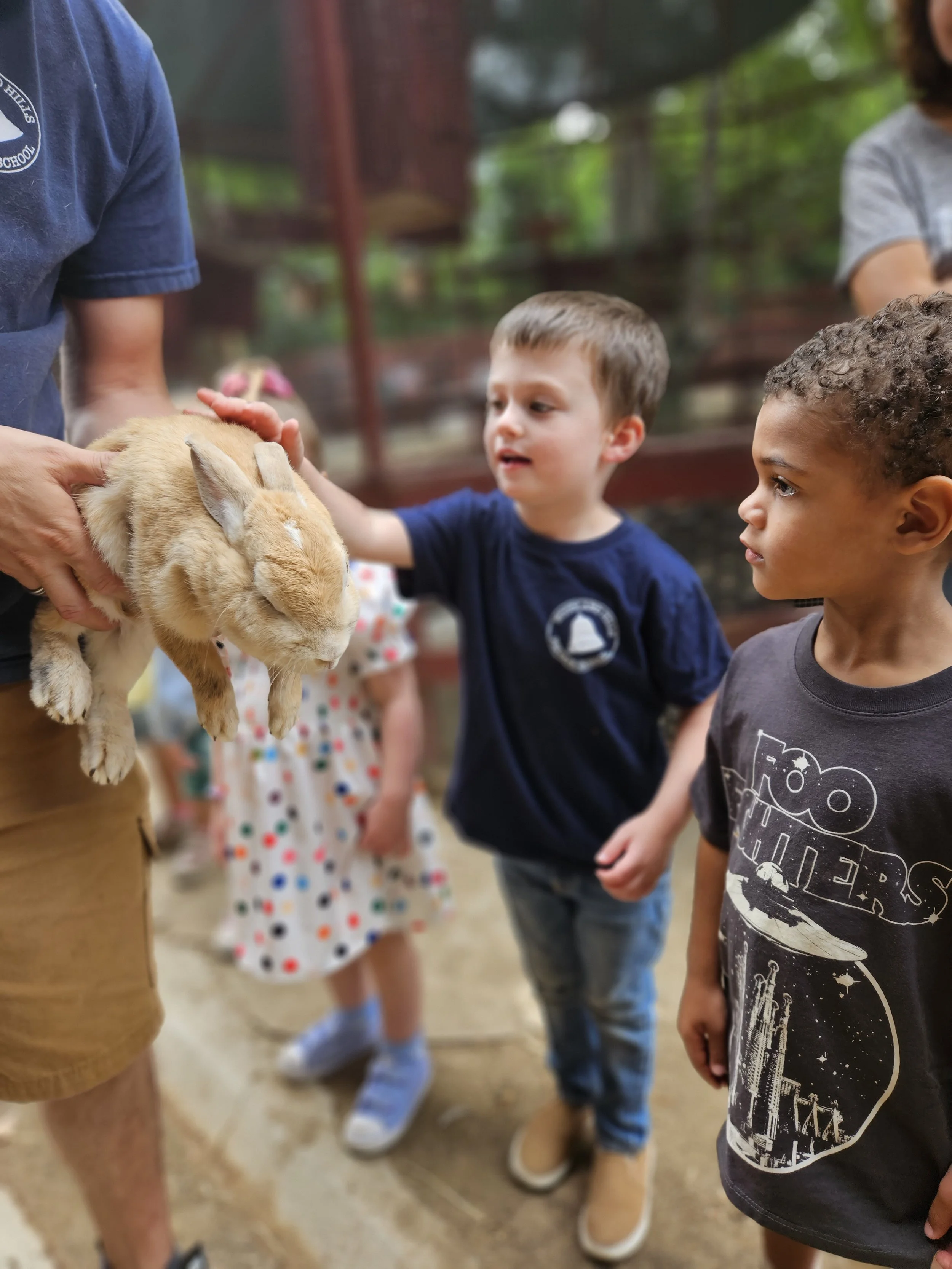 WHPS preschool child interacting gently with an animal