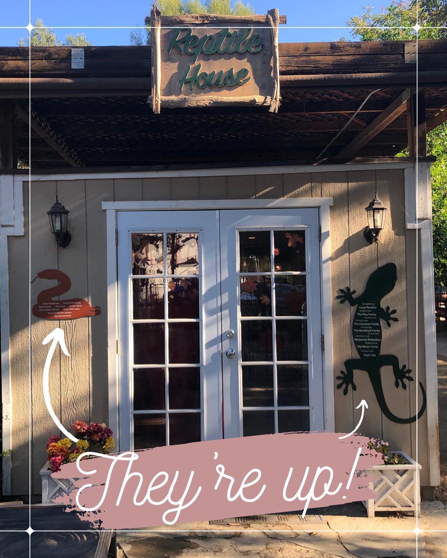 The reptile room donation signs are up! 🦎🐍They are up and ready to be seen in the barnyard during the Fall Festival! Thank you to Image Source for their fantastic work, the signs turned out so cute! And thank you to all of YOU 🫵 who made this poss