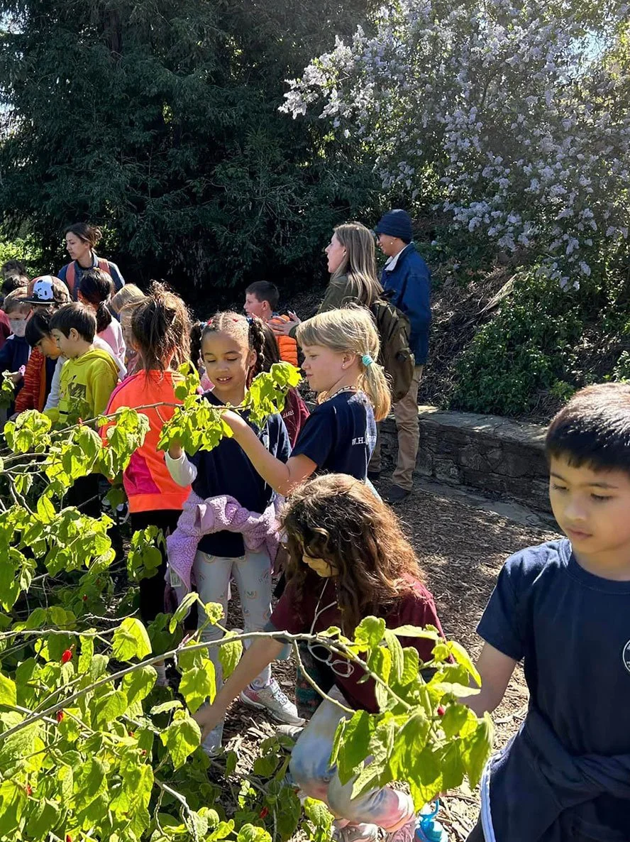 WHPS children learning together outdoors