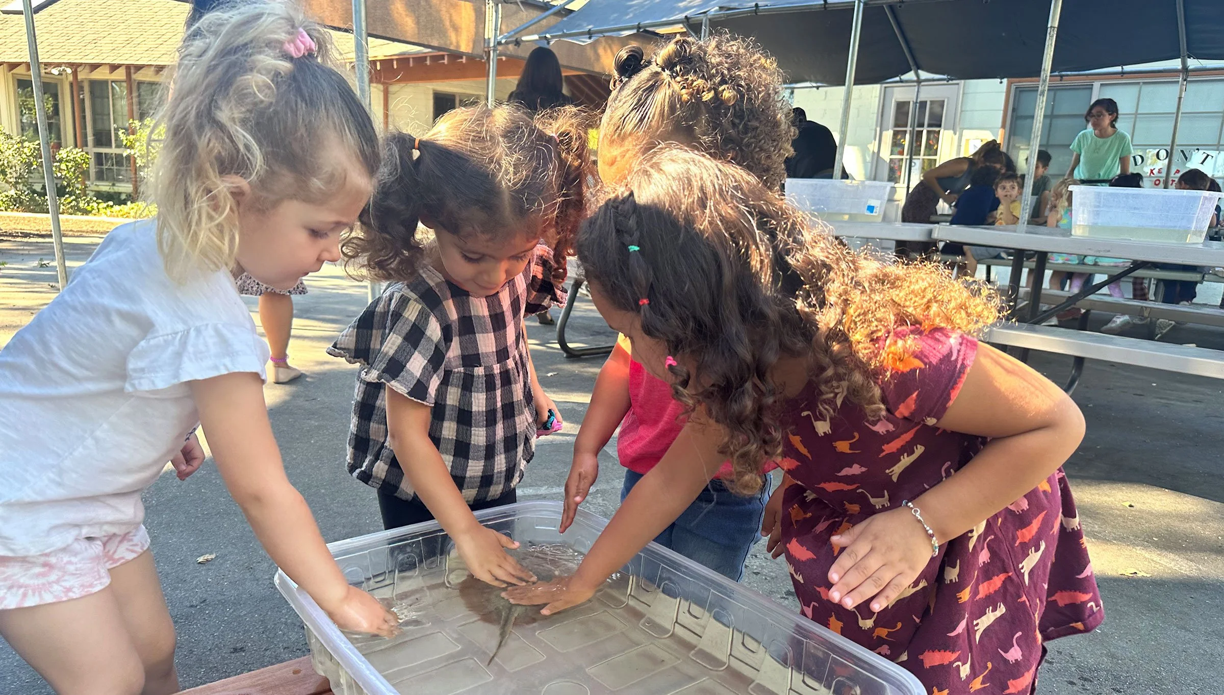 WHPS preschool children exploring materials together