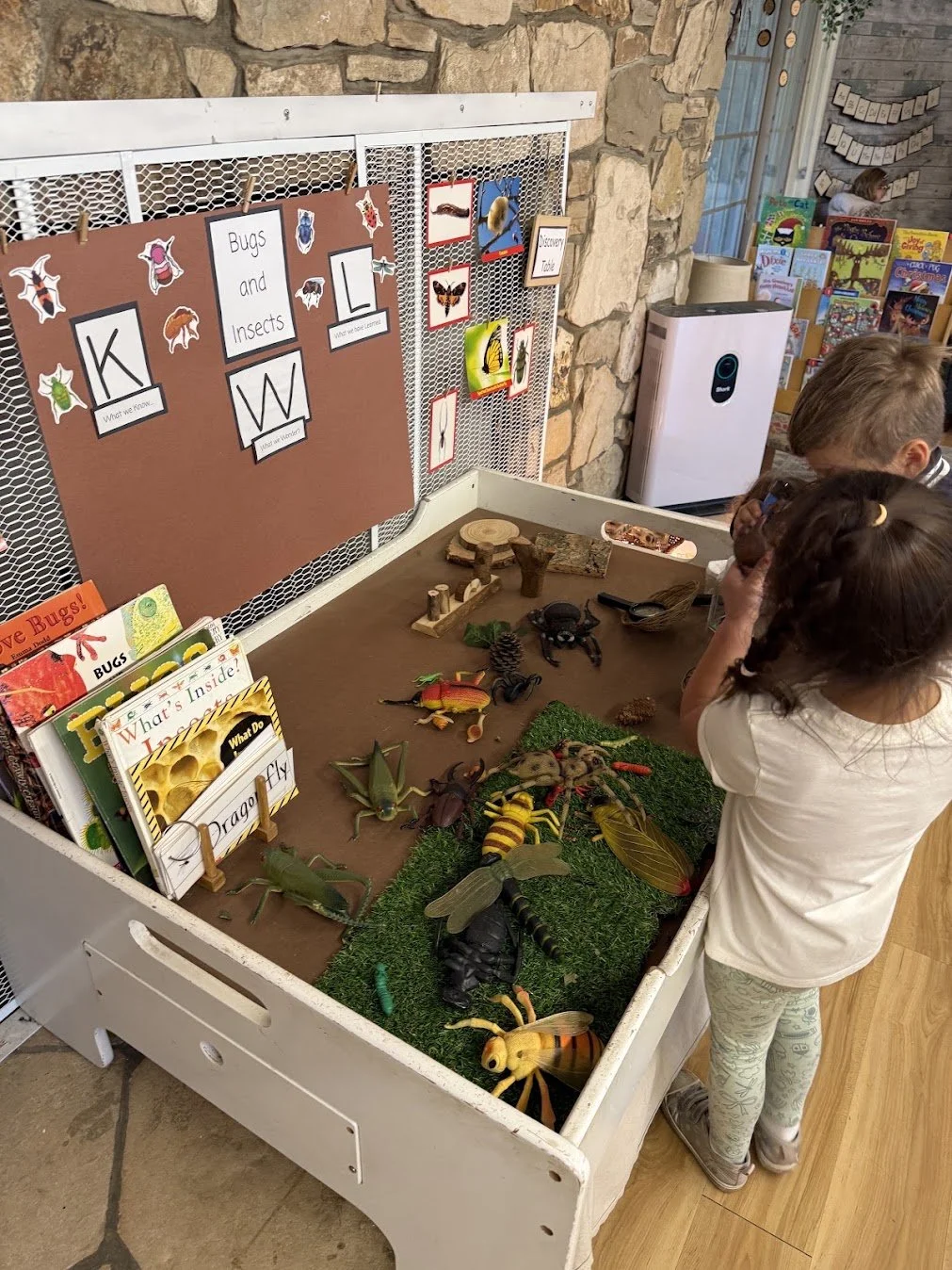 WHPS preschool children investigating insects