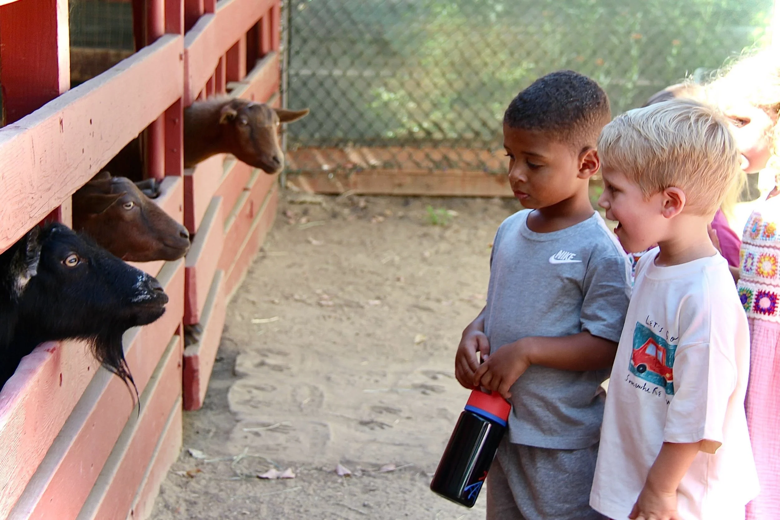 WHPS preschool children exploring the animals in our outdoor learning environment