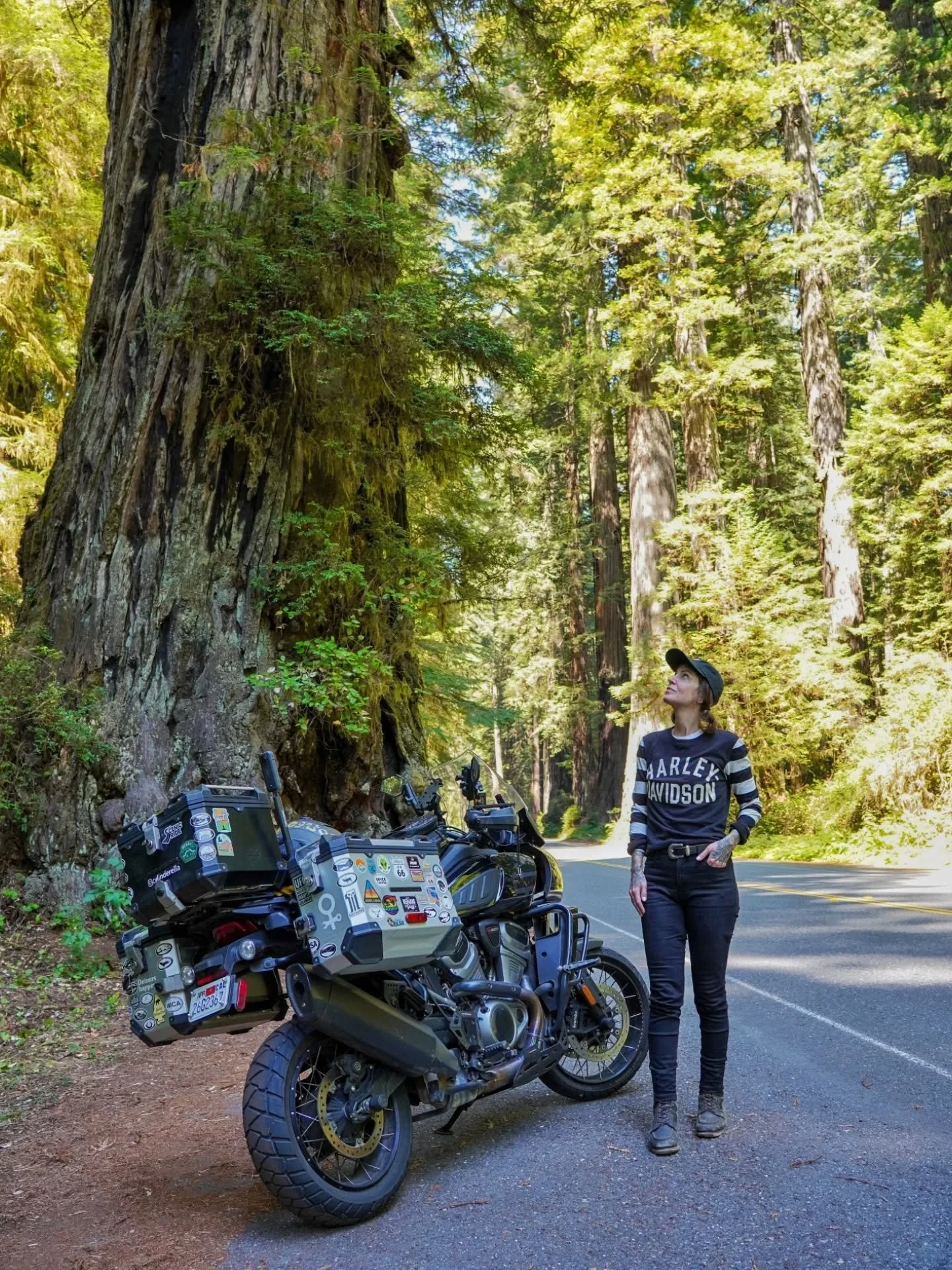 I'm supposed to be on a flight to Sweden as we speak but unfortunately reality finally caught up with me so now I'm stuck on the couch with the flu (or whatever this hellish condition is) instead. 
⛰️ But on the bright side, I wrote about my recent