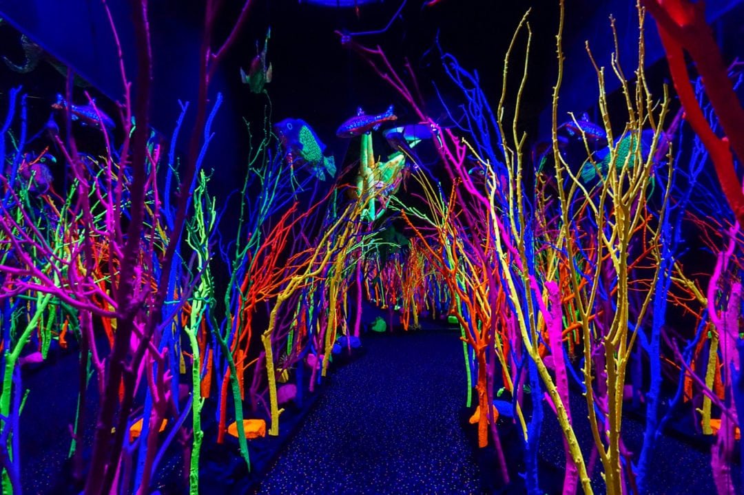 meow-wolf-neon-forest-1080x719.jpeg
