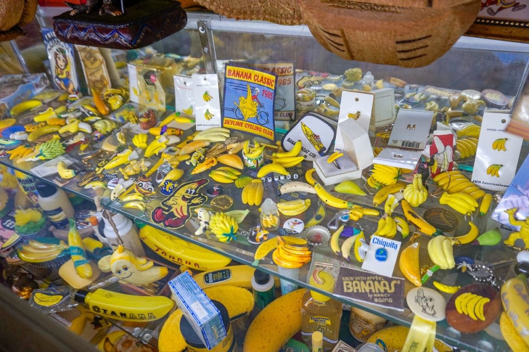 international-banana-museum-display-3-1080x719.jpeg