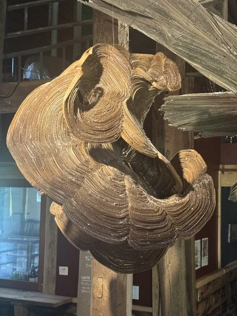 Henry Klimowicz, Like a Lichen Large, 2020, Cardboard and hot glue, 42 x 42 x 42 in