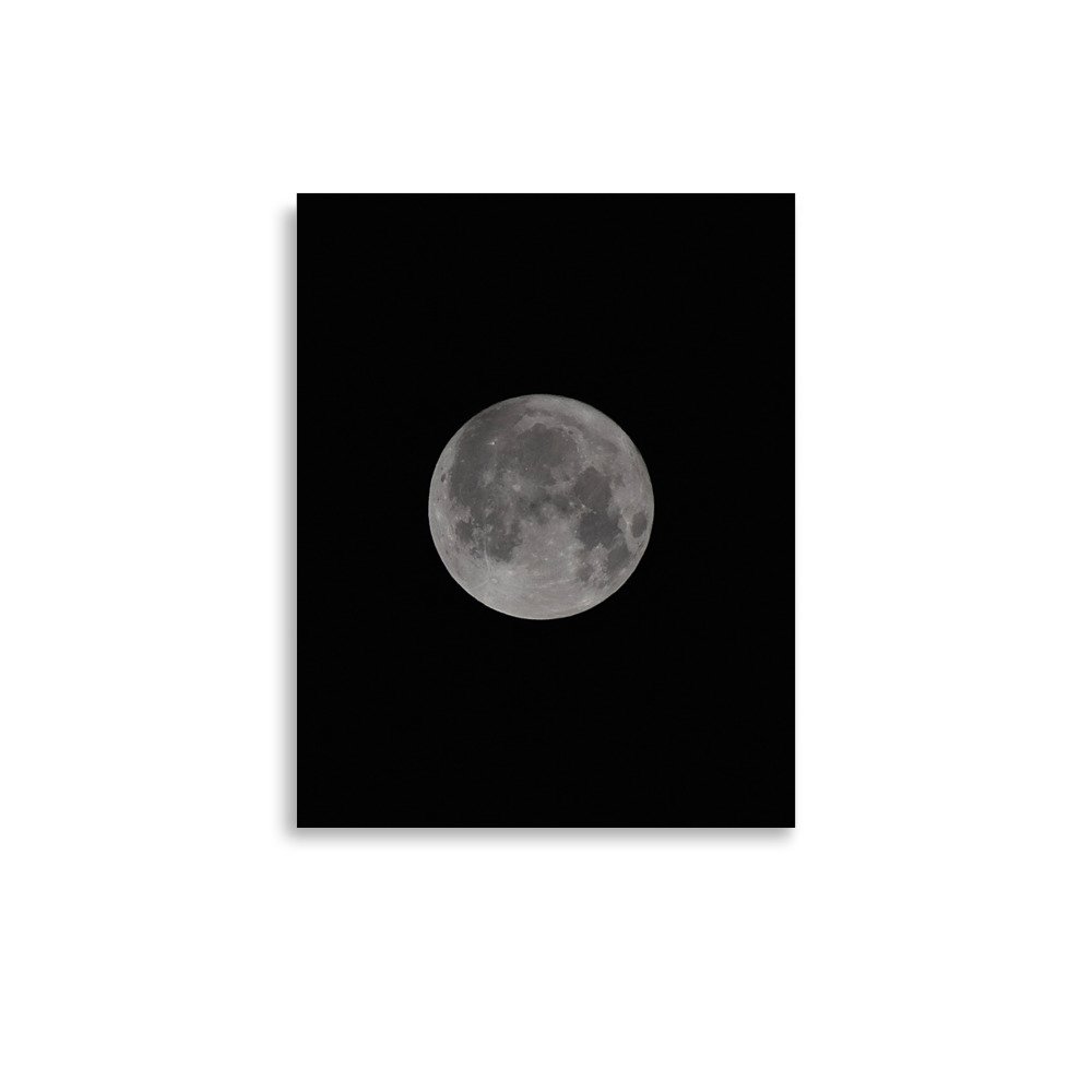 premium-luster-photo-paper-poster-(in)-11x14-front-67188e360d12a.jpg