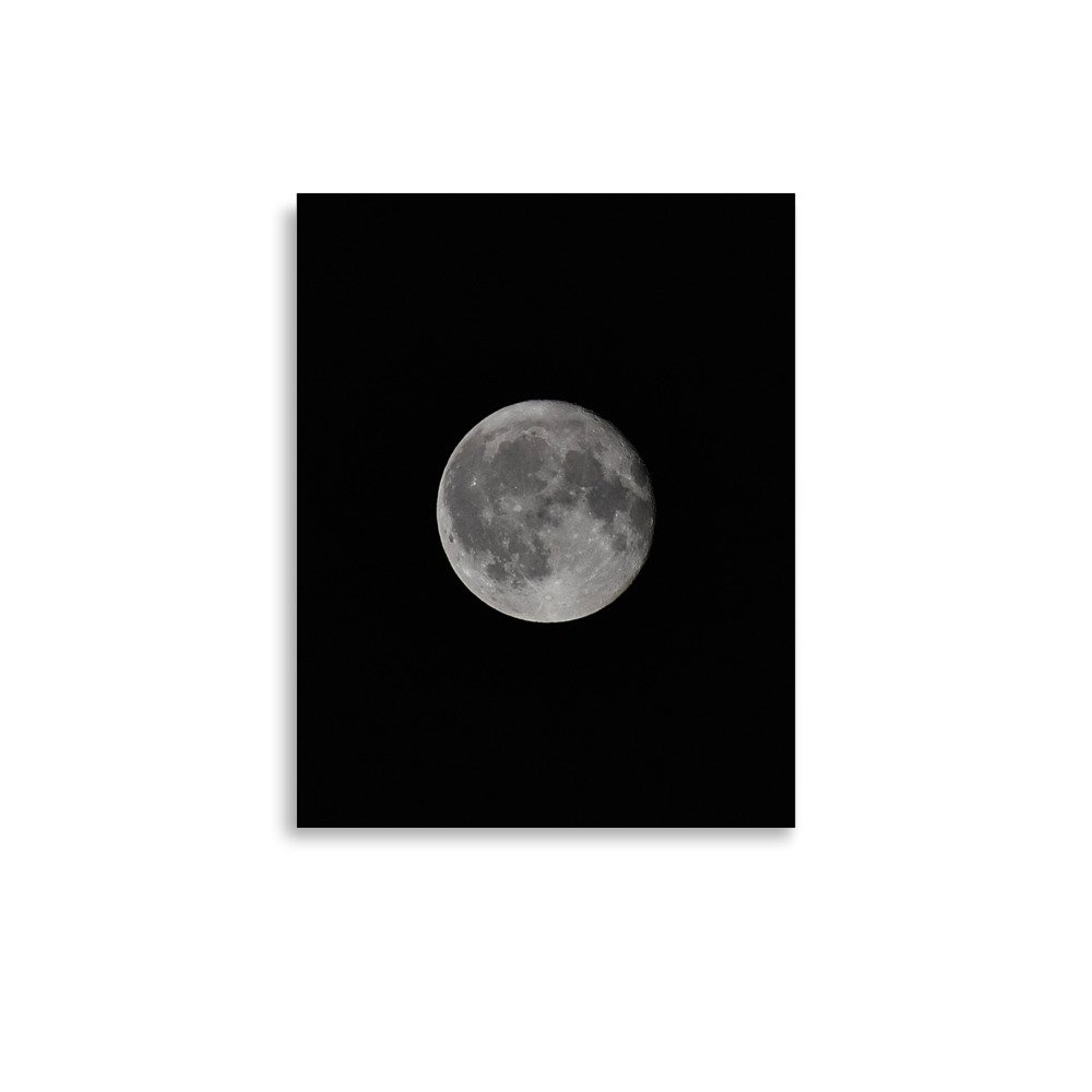 premium-luster-photo-paper-poster-(in)-11x14-front-67188e784ad5a.jpg