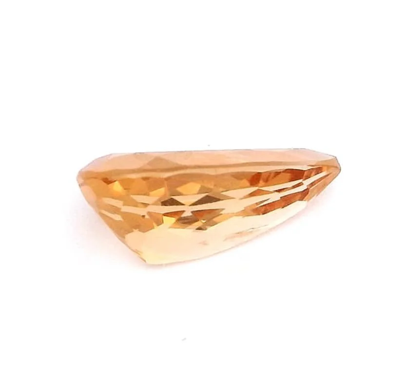 WhatsApp Image 2025-10-07 at 12.51.19 PM-5.jpeg