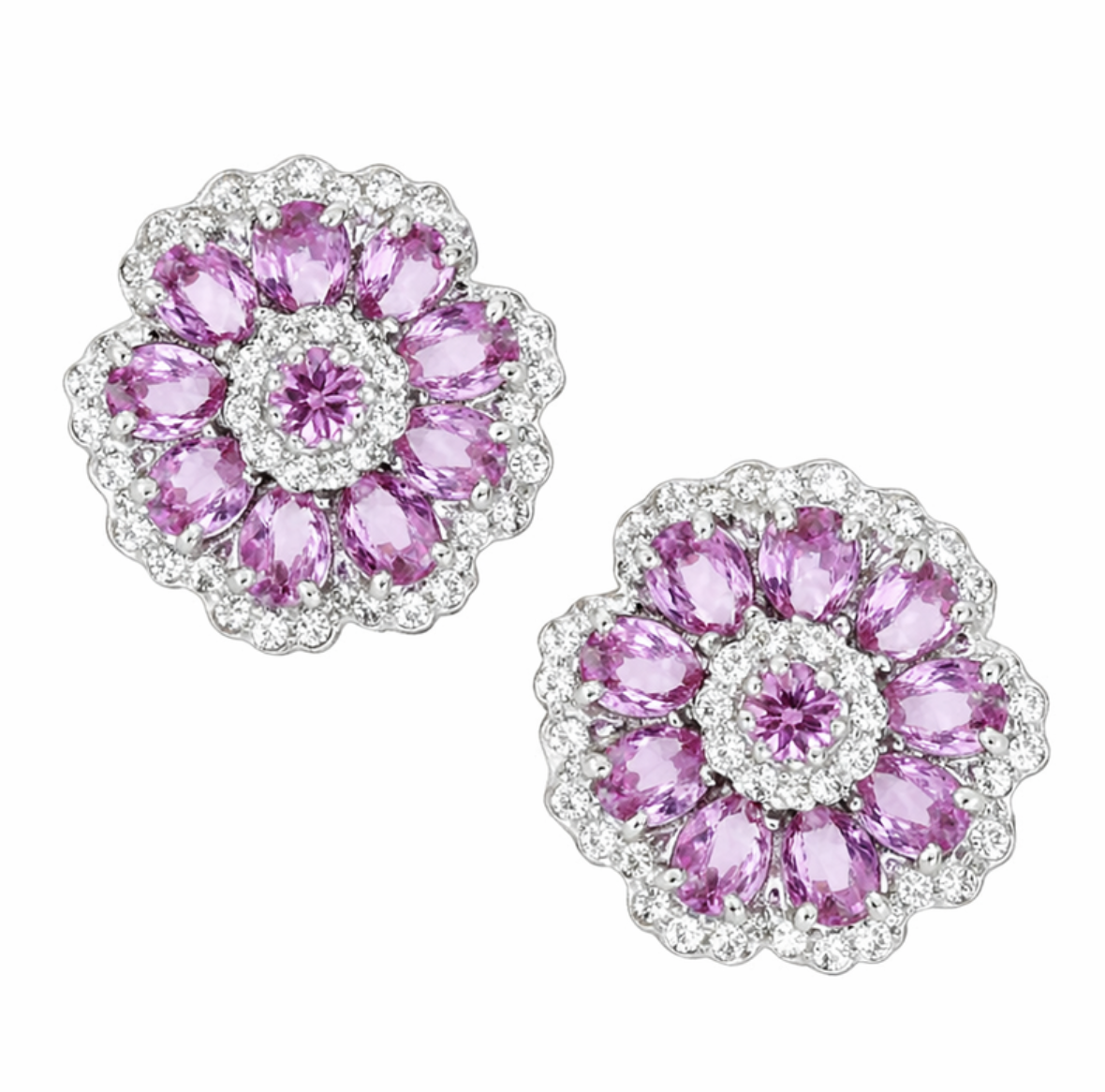 Screen Shot 2026-02-27 at 10.54.49 AM.png