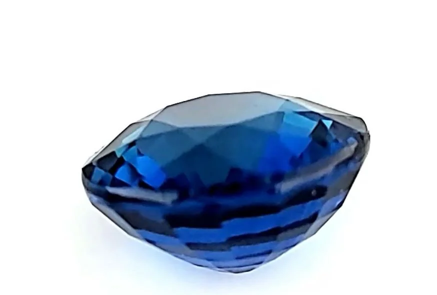 WhatsApp Image 2025-10-07 at 12.51.19 PM.jpeg