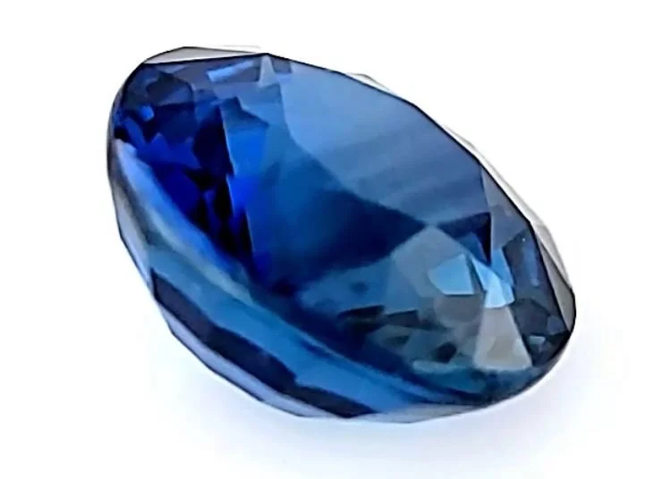 WhatsApp Image 2025-10-07 at 12.51.18 PM.jpeg